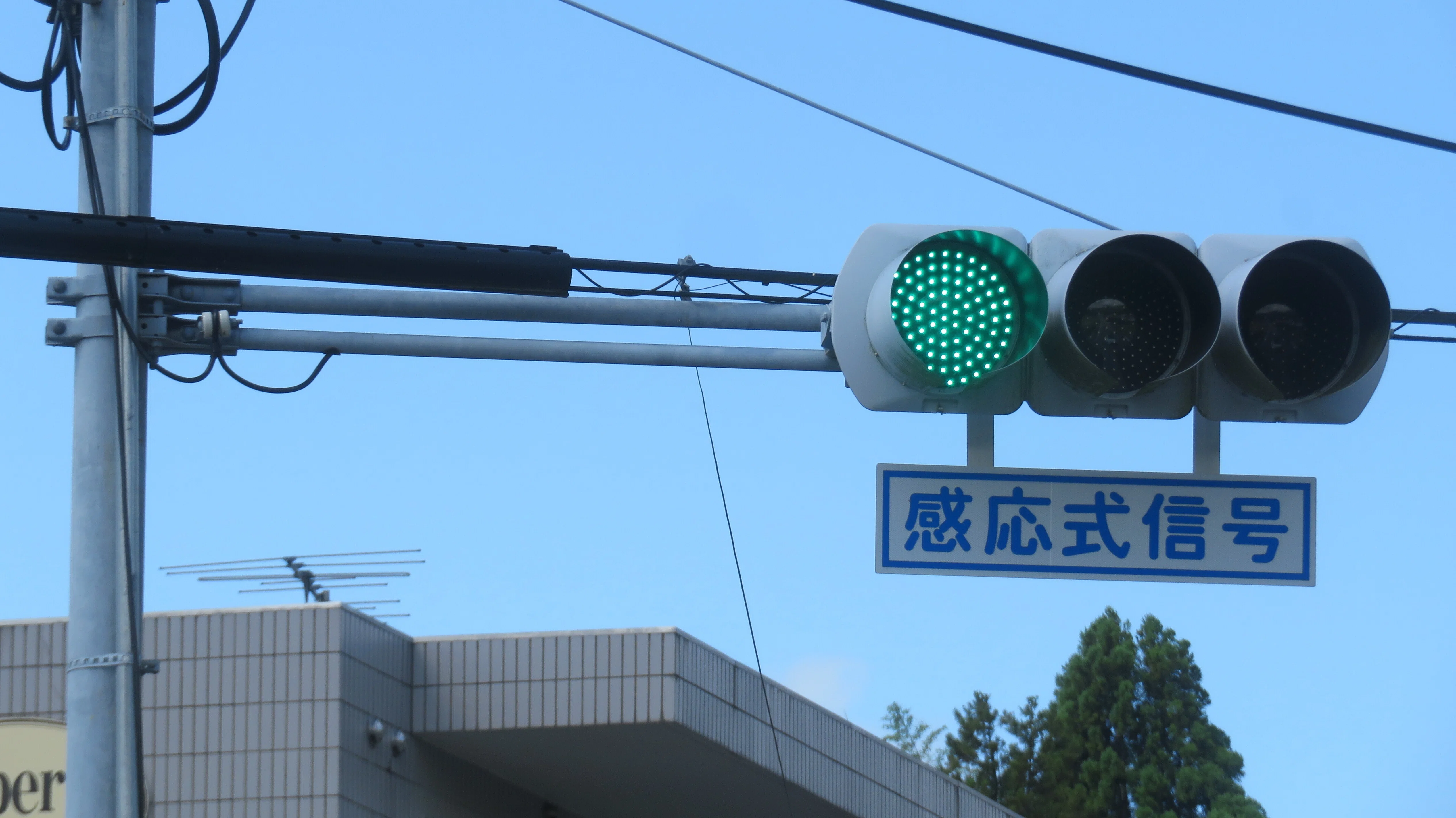 25095】新生保育園前【山口県の信号機】｜るーと