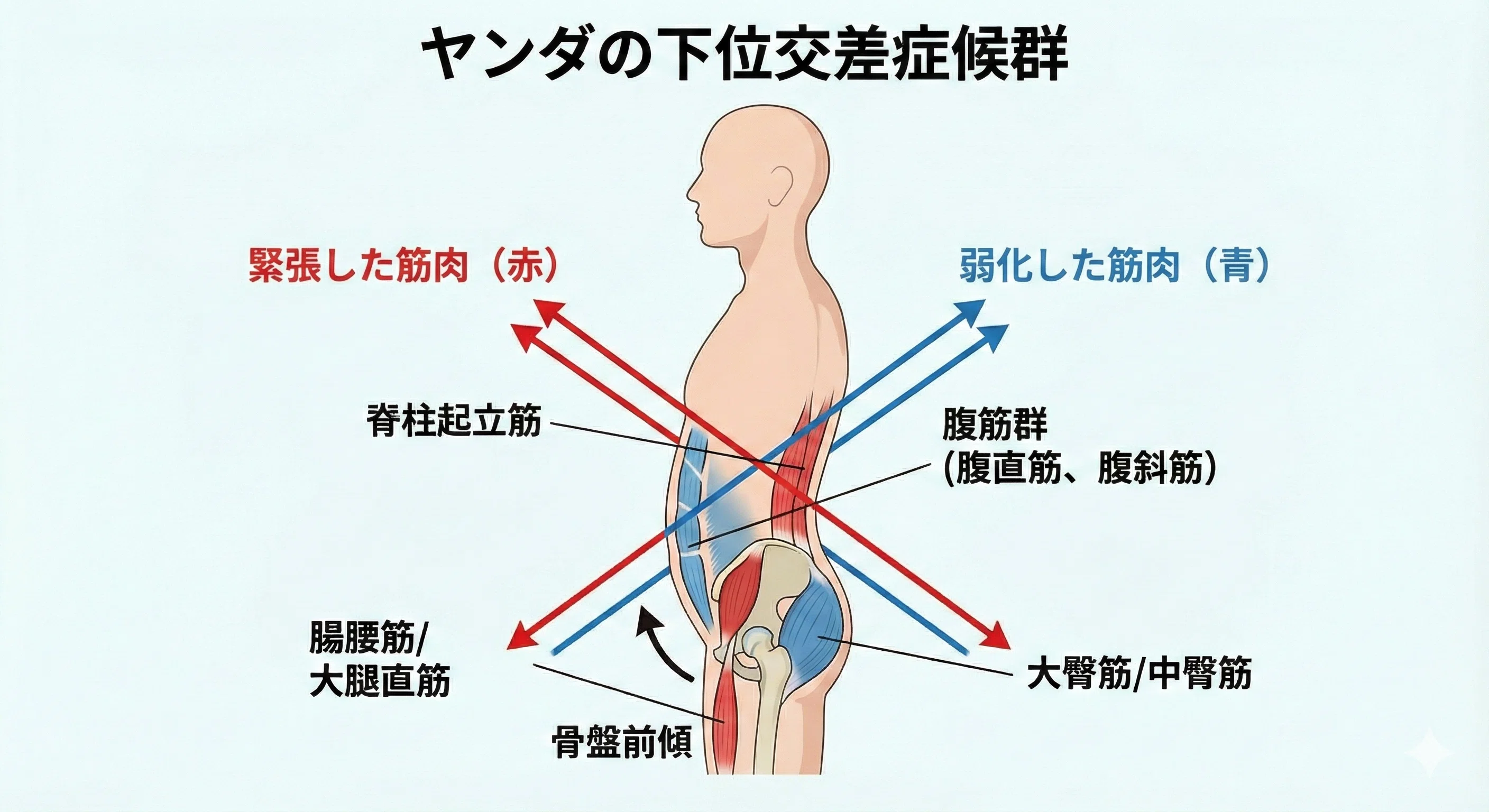 動的制御の評価・アプローチ｜平 純一朗｜理学療法士×アスレティック