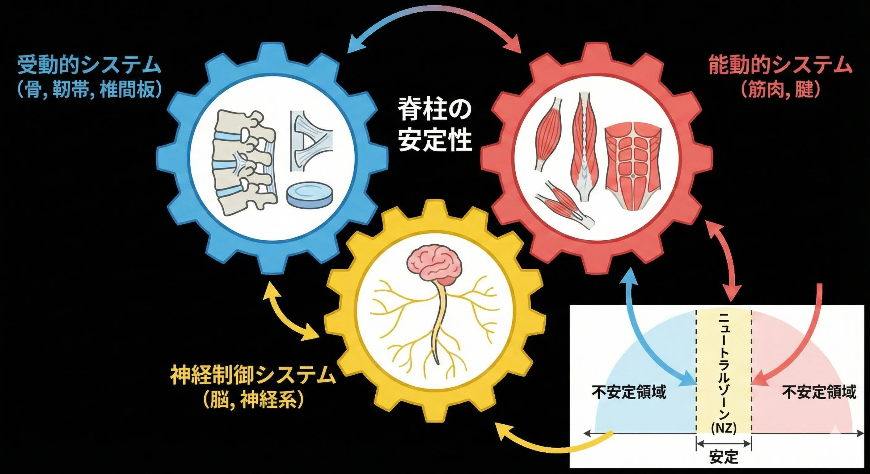 動的制御の評価・アプローチ｜平 純一朗｜理学療法士×アスレティック