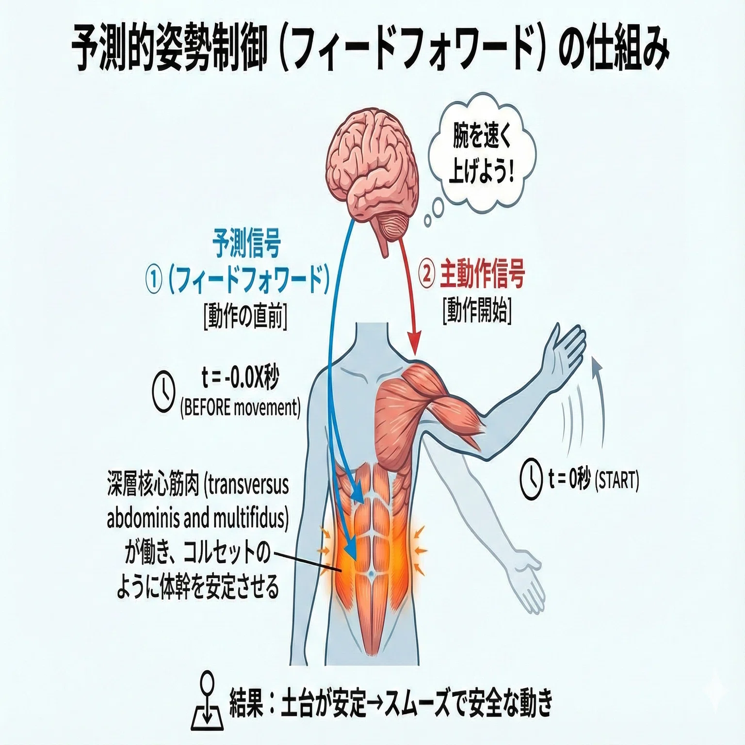 動的制御の評価・アプローチ｜平 純一朗｜理学療法士×アスレティック