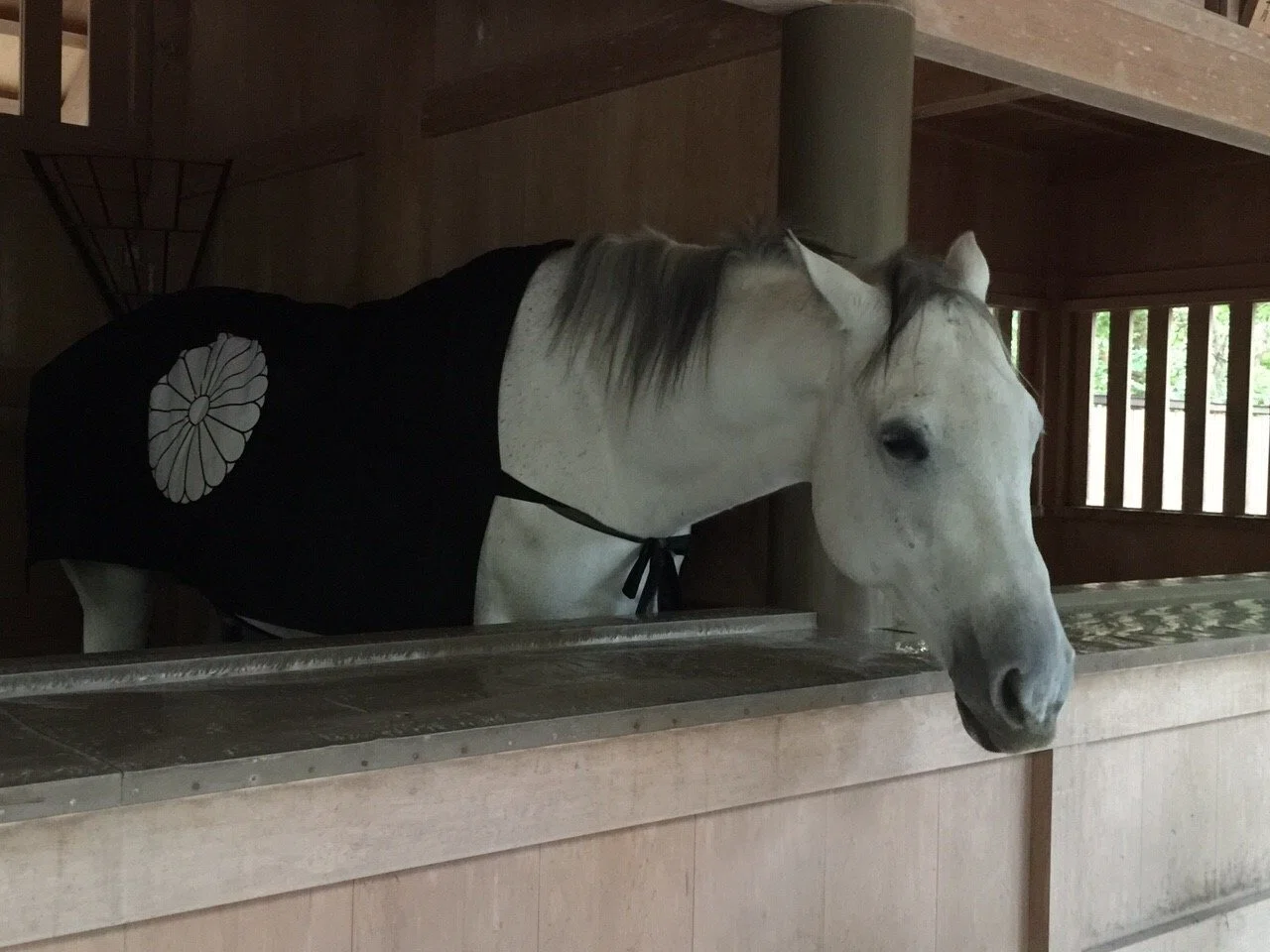 午年2026】ピカソなど馬のアート35点から考える、これからの生き方