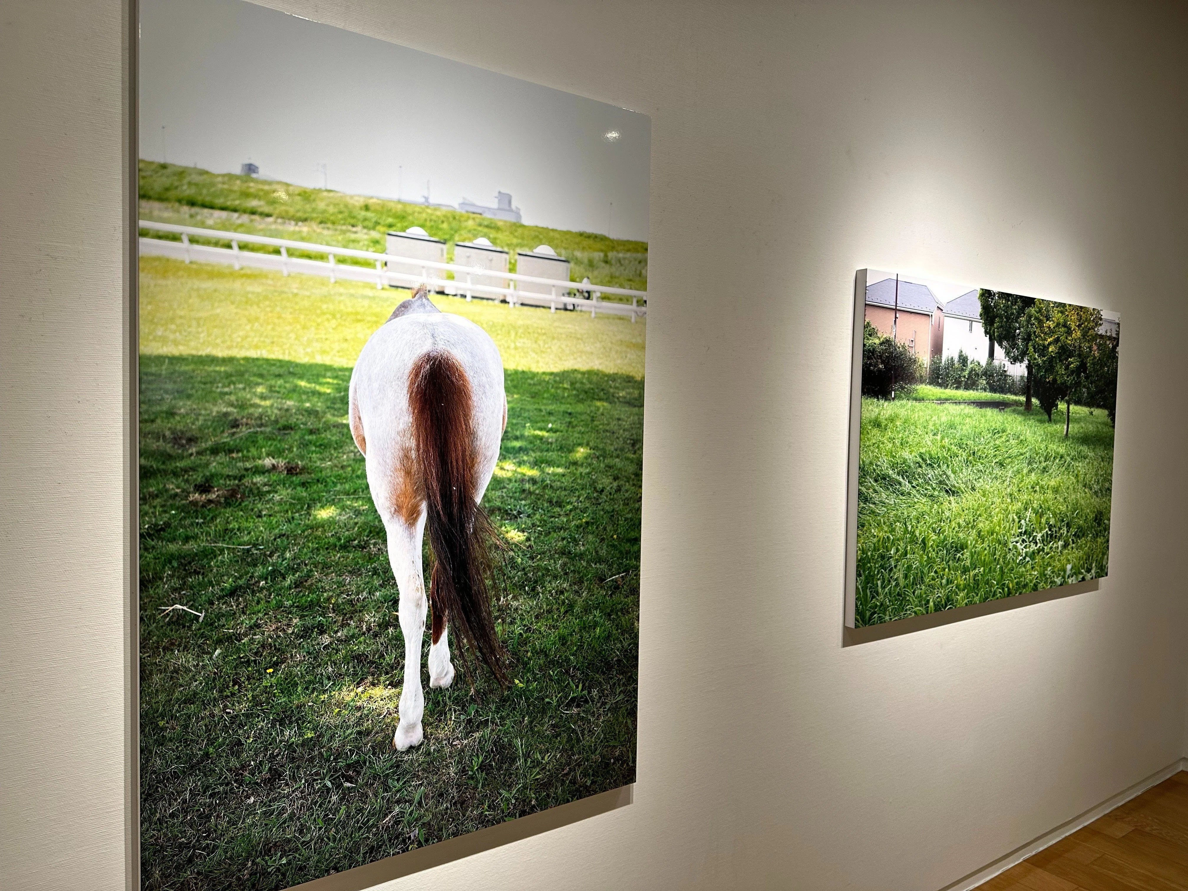 馬　2026 アート 午年2026】ピカソなど馬のアート35点から考える、これからの生き方
