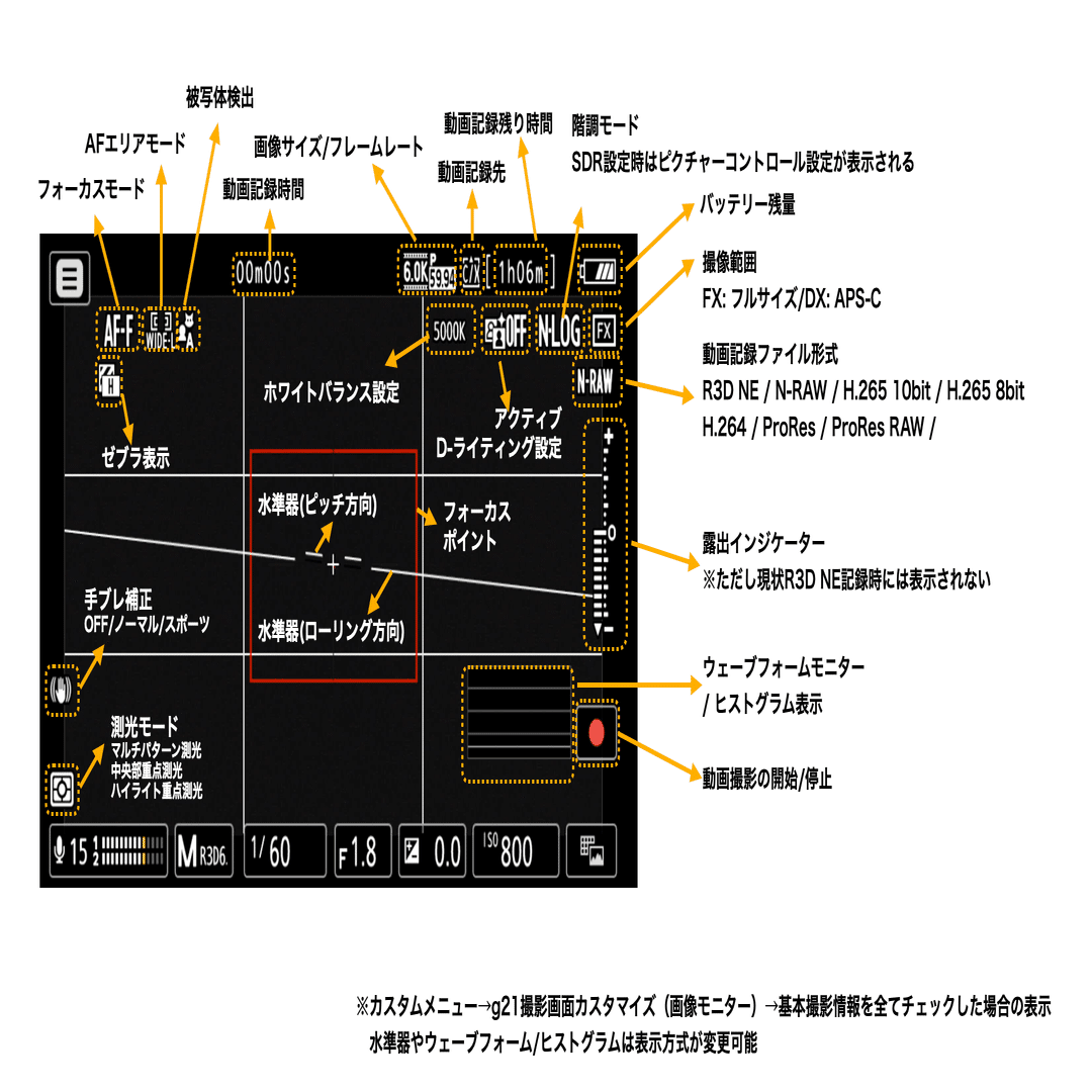 13 どれだけ理解してる？NIKON ZRの背面液晶表示の情報｜ミズノソウ