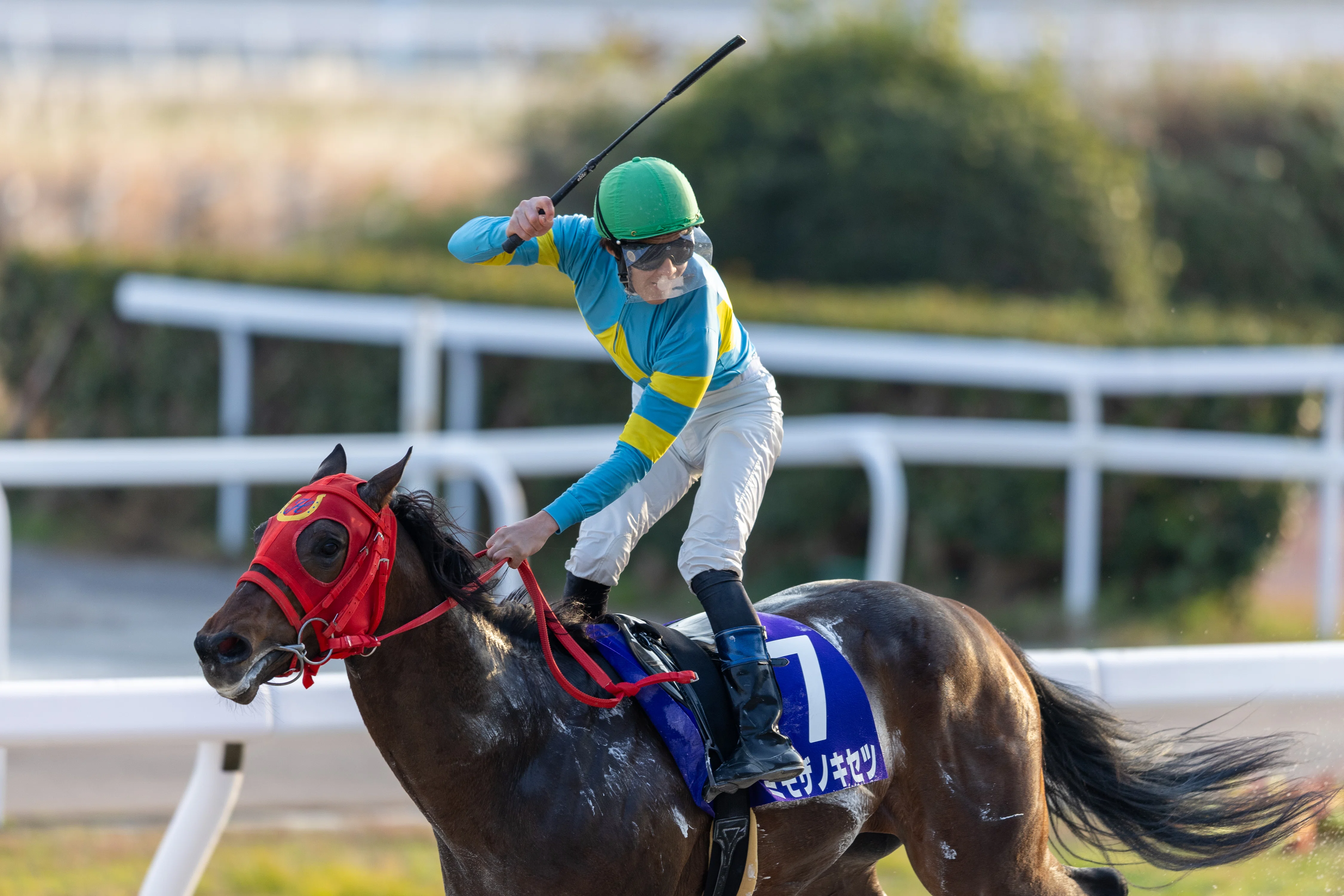 笠松競馬場 第29回 ライデンリーダー記念｜ᗰყαƙυᗰყαƙυ