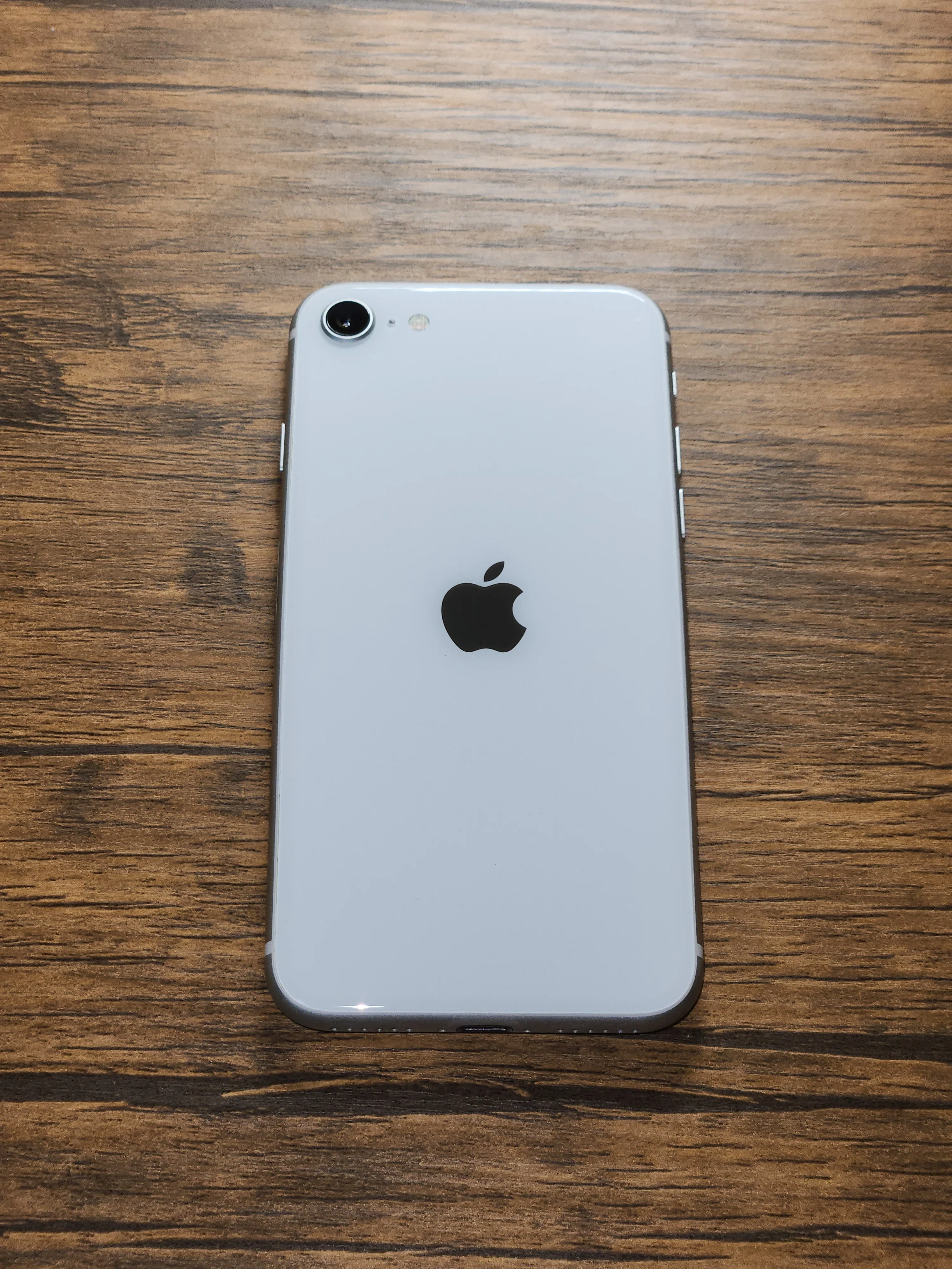 iPhoneSE2 2026年現役か？ いまからでも購入していい？｜ふゆ