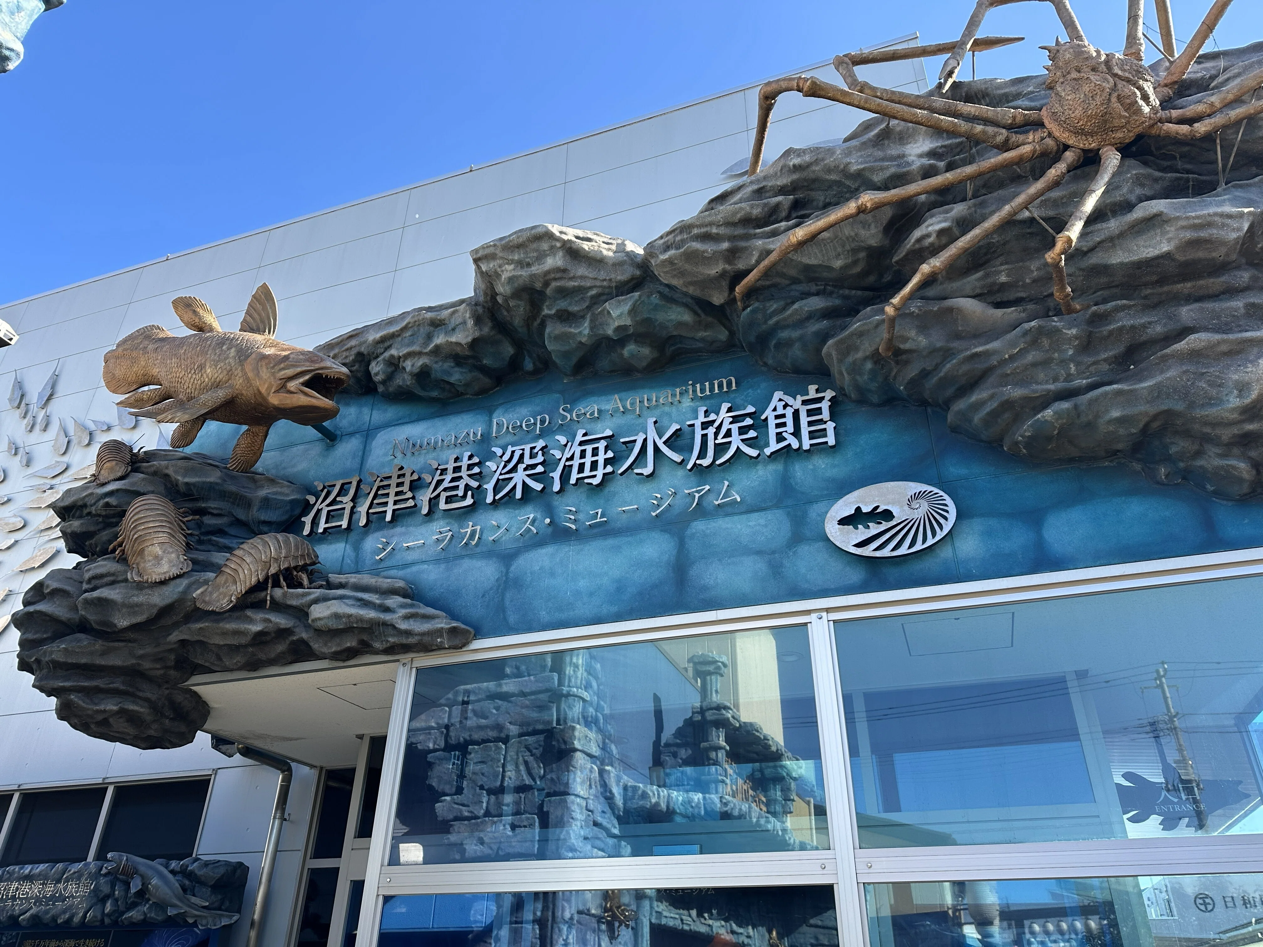 一年を沼津港深海水族館から始める｜のぞむ