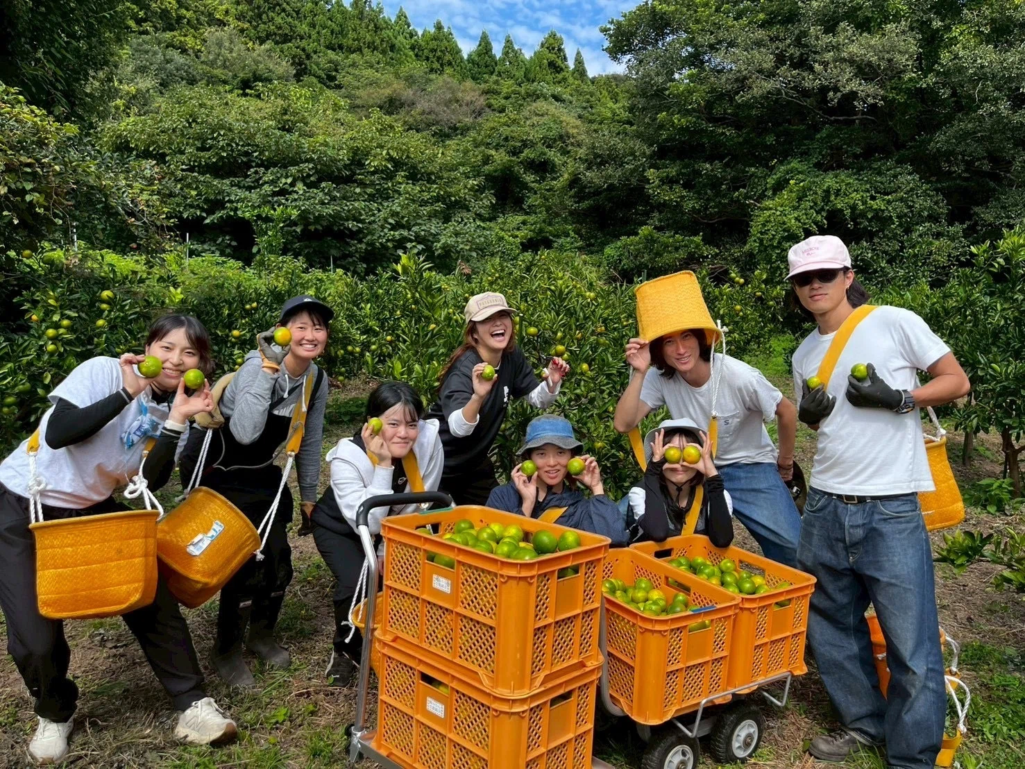 今年の崎みかん振り返り｜海士町 丹後農園の崎みかん（崎みかん再生PJ）