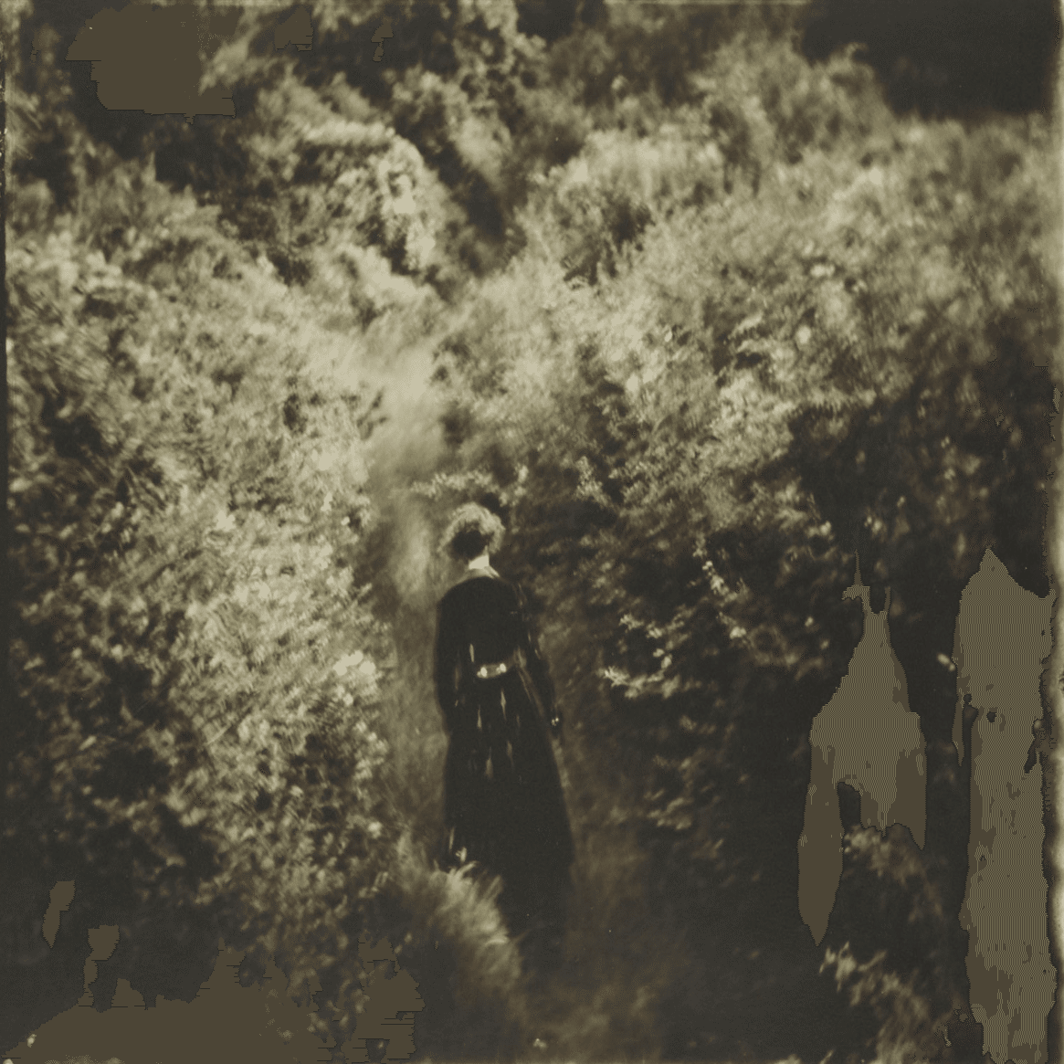 記憶の底の静寂に浸る －サラ・ムーンの写真の美しさ｜ミック@アート