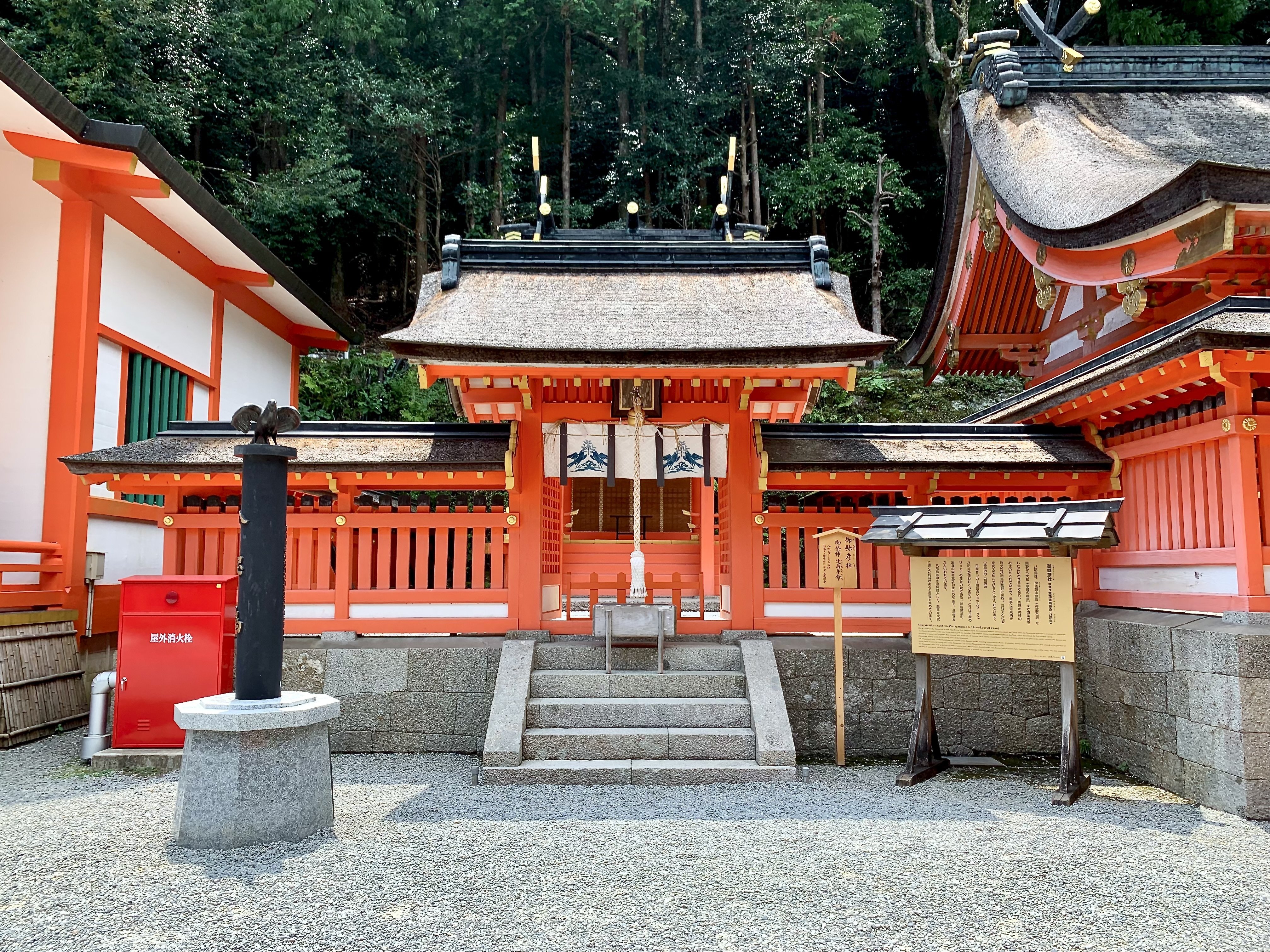 熊野那智大社】樹齢数百年の大楠で「胎内くぐり」体験｜2年間放置した