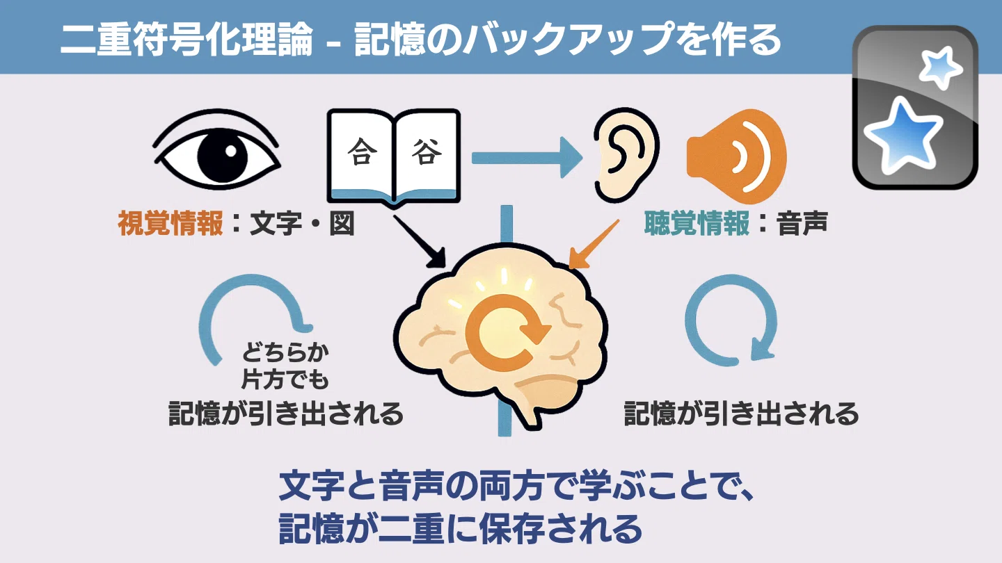 鍼灸学生へ】 通勤電車を「最強の教室」に変える、経穴聴覚ハッキング