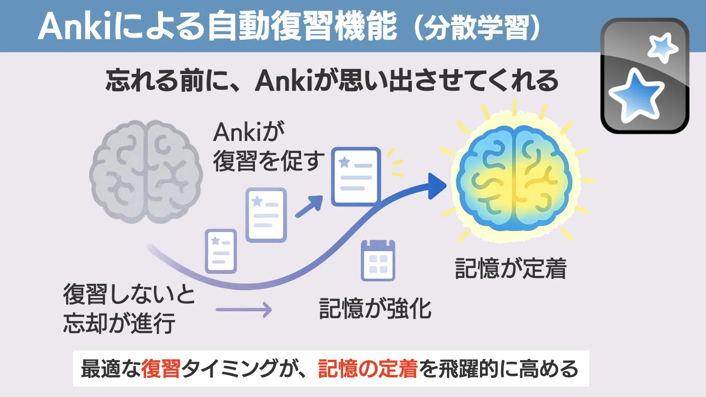 鍼灸学生へ】 通勤電車を「最強の教室」に変える、経穴聴覚ハッキング