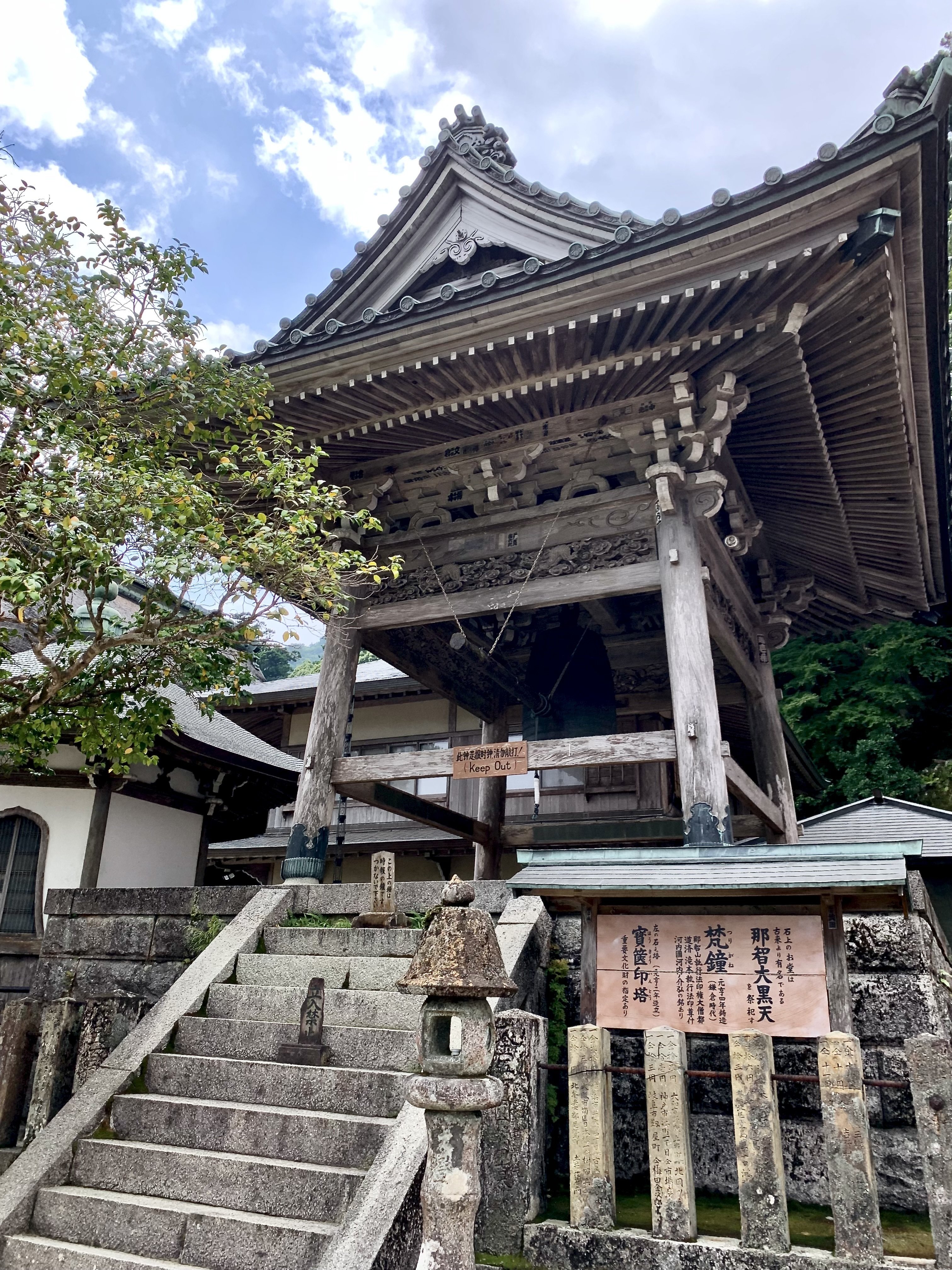 熊野那智大社】樹齢数百年の大楠で「胎内くぐり」体験｜2年間放置した