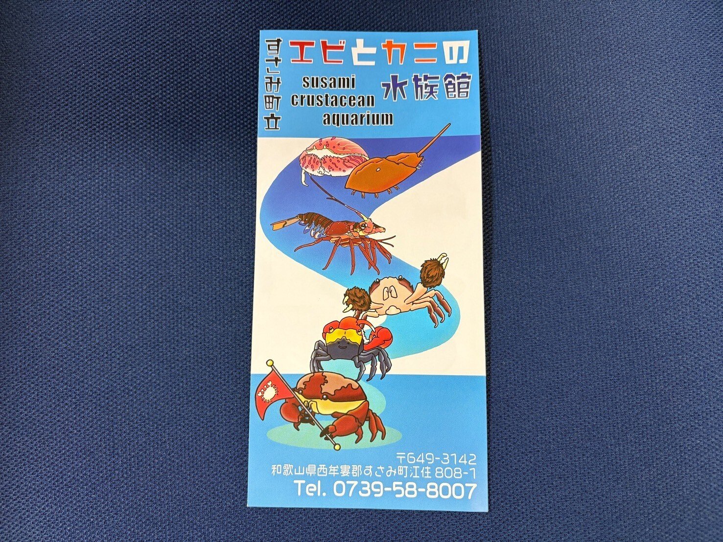 南海の魅惑 危なかった…😂