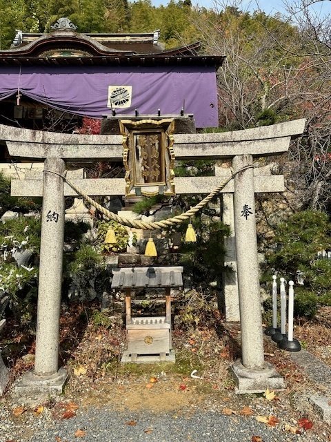 VOL.62】琵琶湖に浮かぶ祈りの島｜竹生島（宝厳寺・都久夫須麻神社）で
