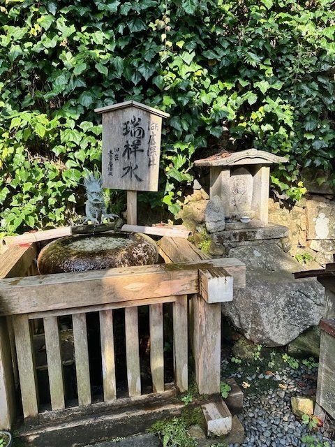 VOL.62】琵琶湖に浮かぶ祈りの島｜竹生島（宝厳寺・都久夫須麻神社）で