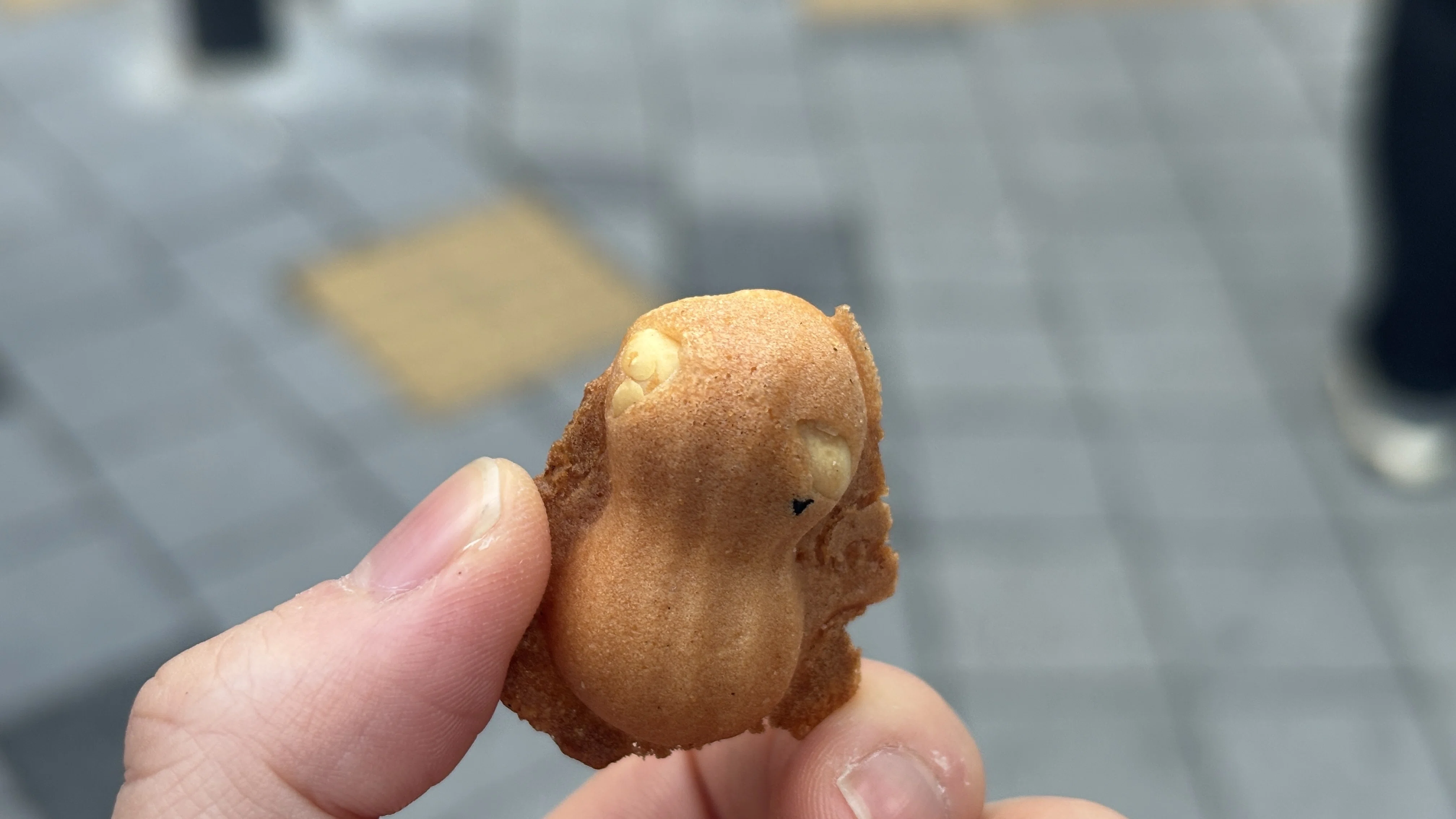 ハンビン ボイスキーリング ソウルコン 韓国 s-l1200.png