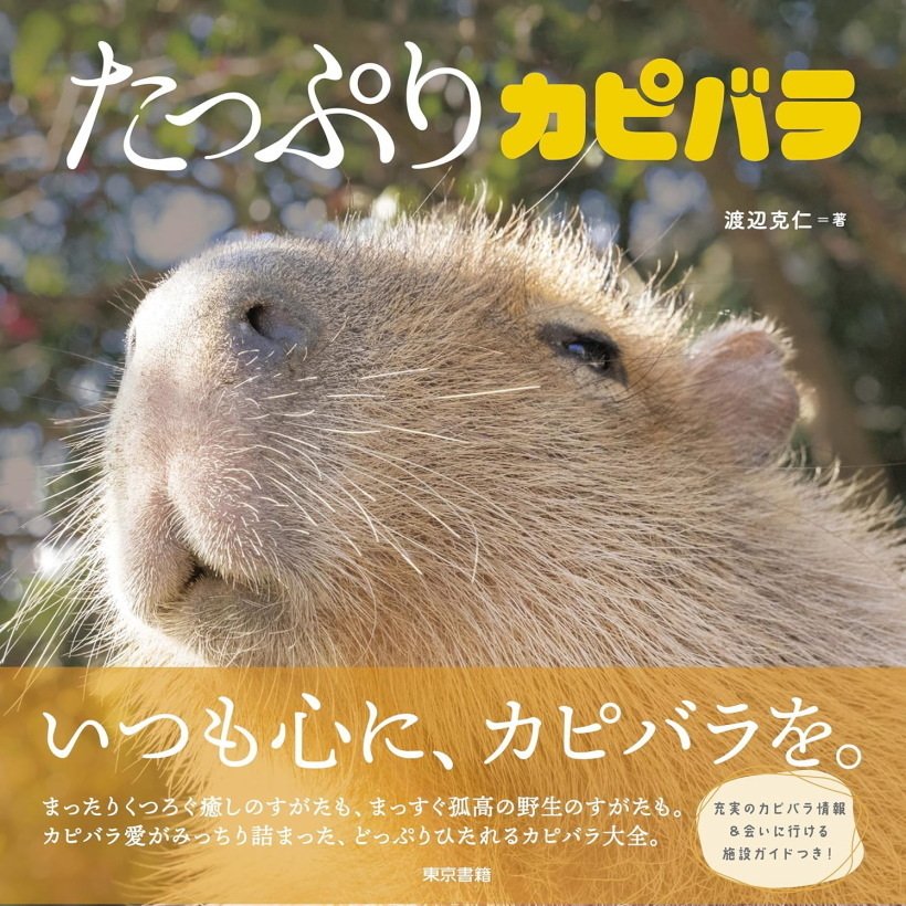写真集「たっぷりカピバラ」を出版致しました。｜カピバラ写真家〇渡辺克仁