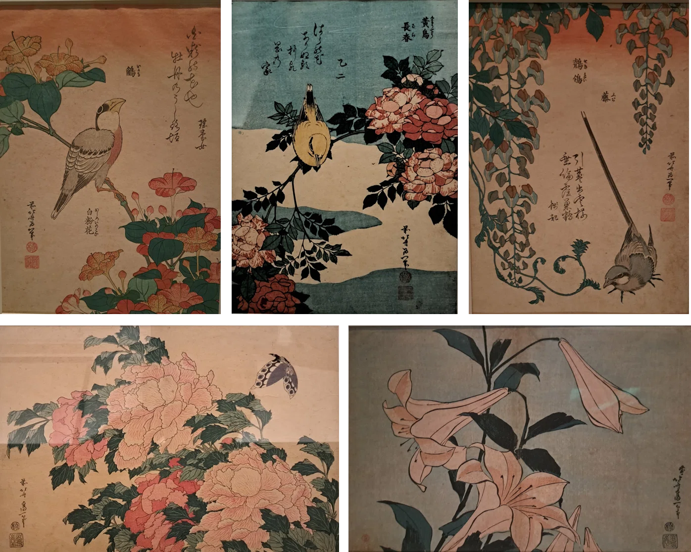 掛軸 花鳥画 牡丹 水鳥 呉昌 江戸後期 明治 日本画 床の間 中幅 植物画とは何か＞（4）ー3：トーハク常設展の日本、中国の「花鳥画