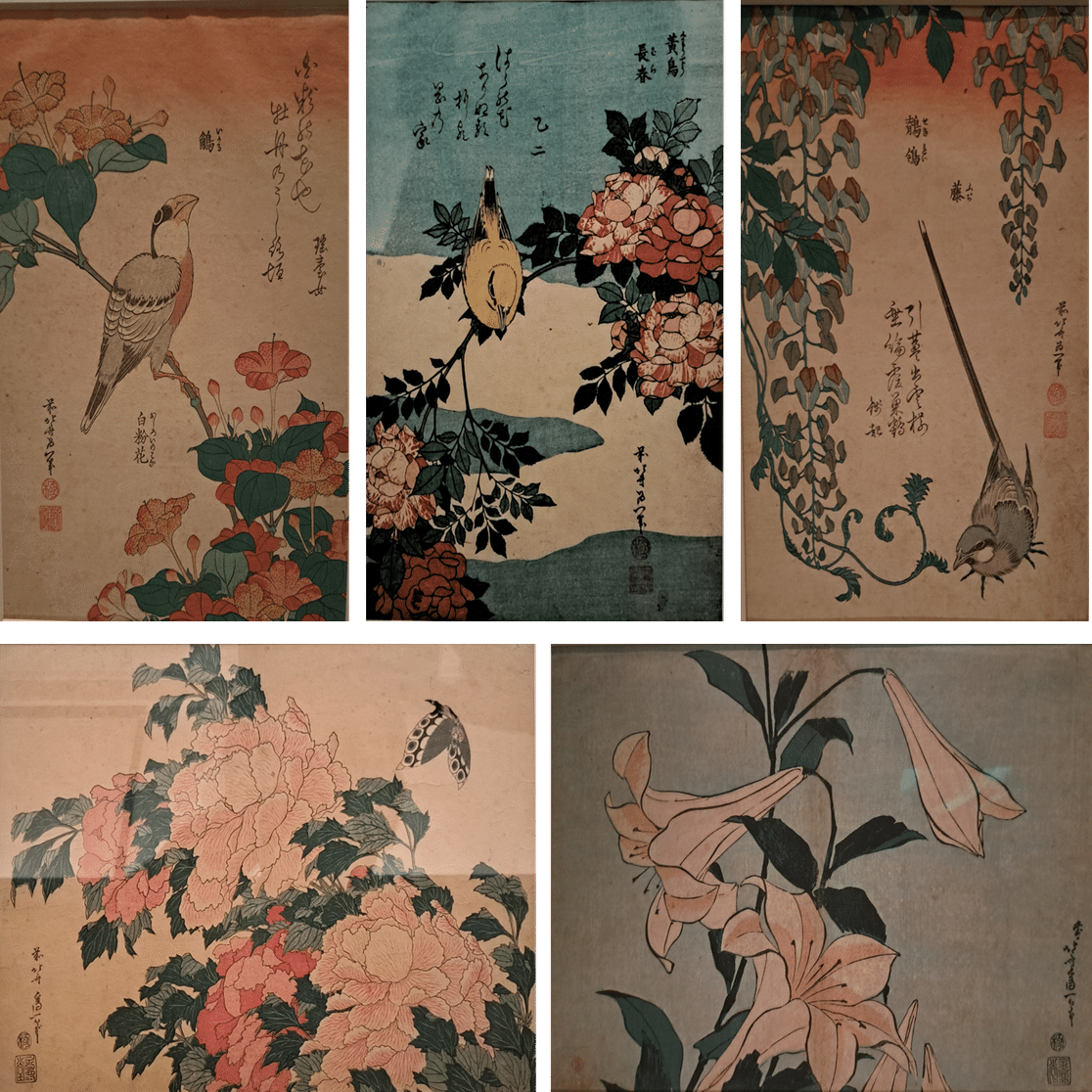 植物画とは何か＞（4）ー3：トーハク常設展の日本、中国の「花鳥画