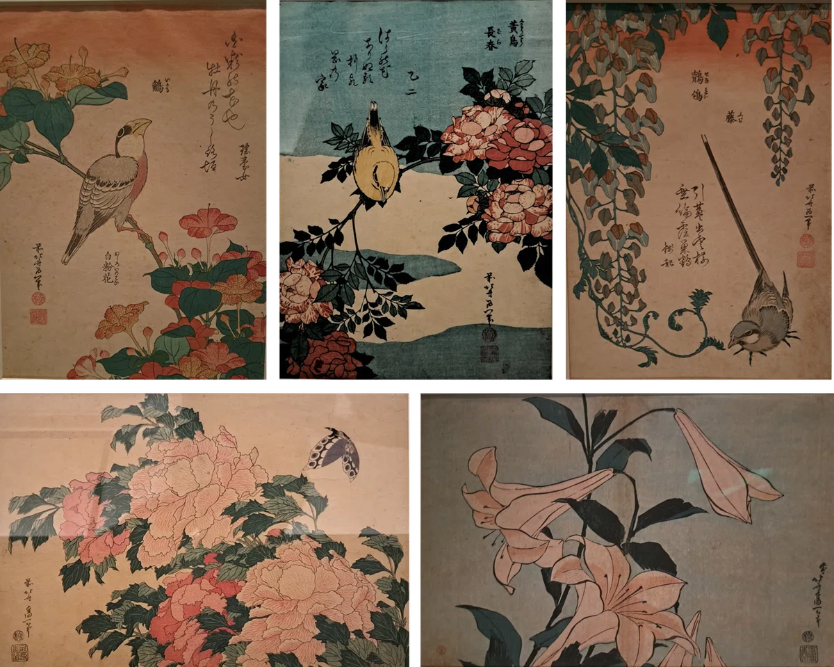 植物画とは何か＞（4）ー3：トーハク常設展の日本、中国の「花鳥画