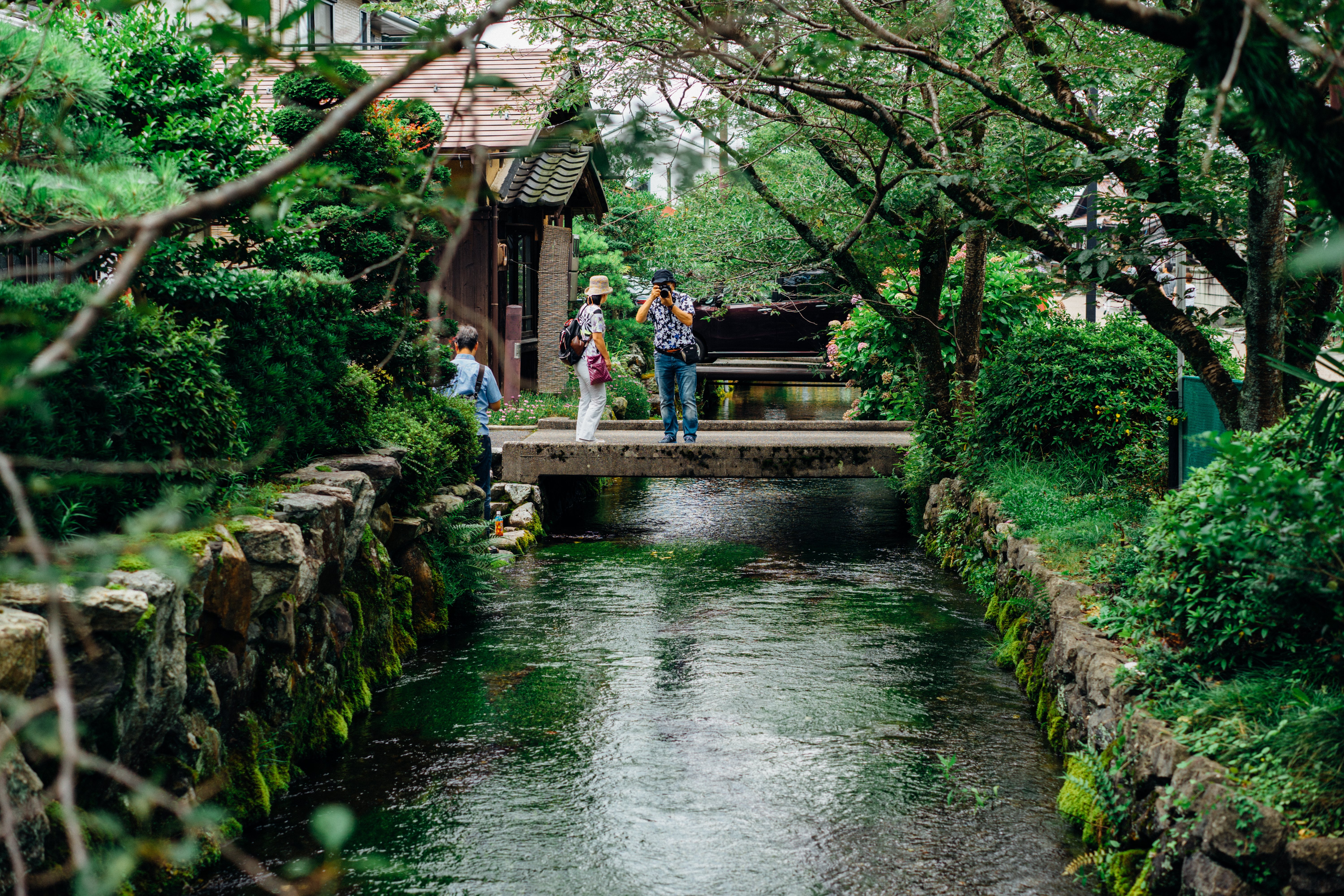 清流に咲く水中花 ── 醒ヶ井の梅花藻と夏の街歩き（滋賀）｜Sakak