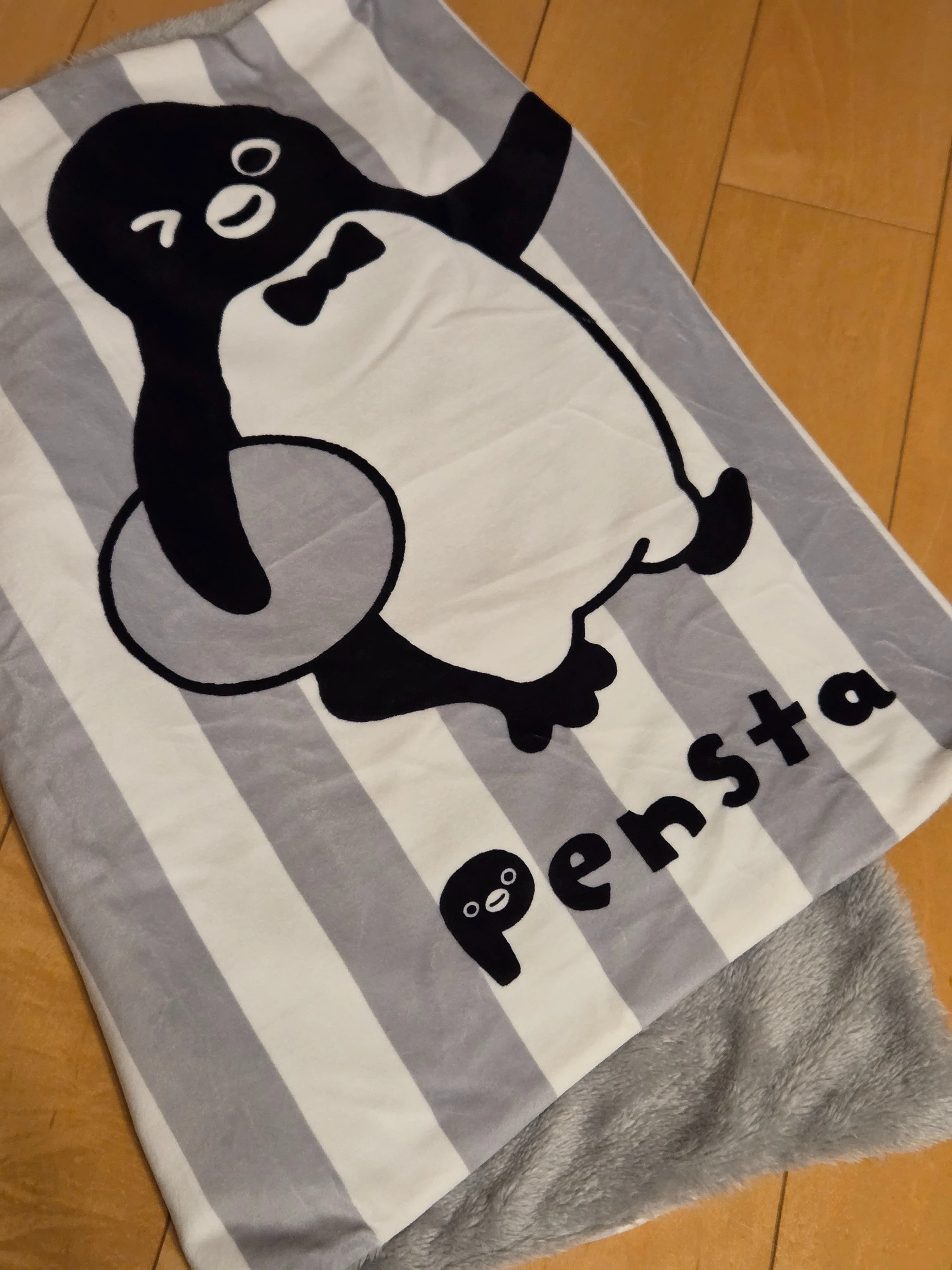 ペンスタの福袋2026年買いました。｜hagki
