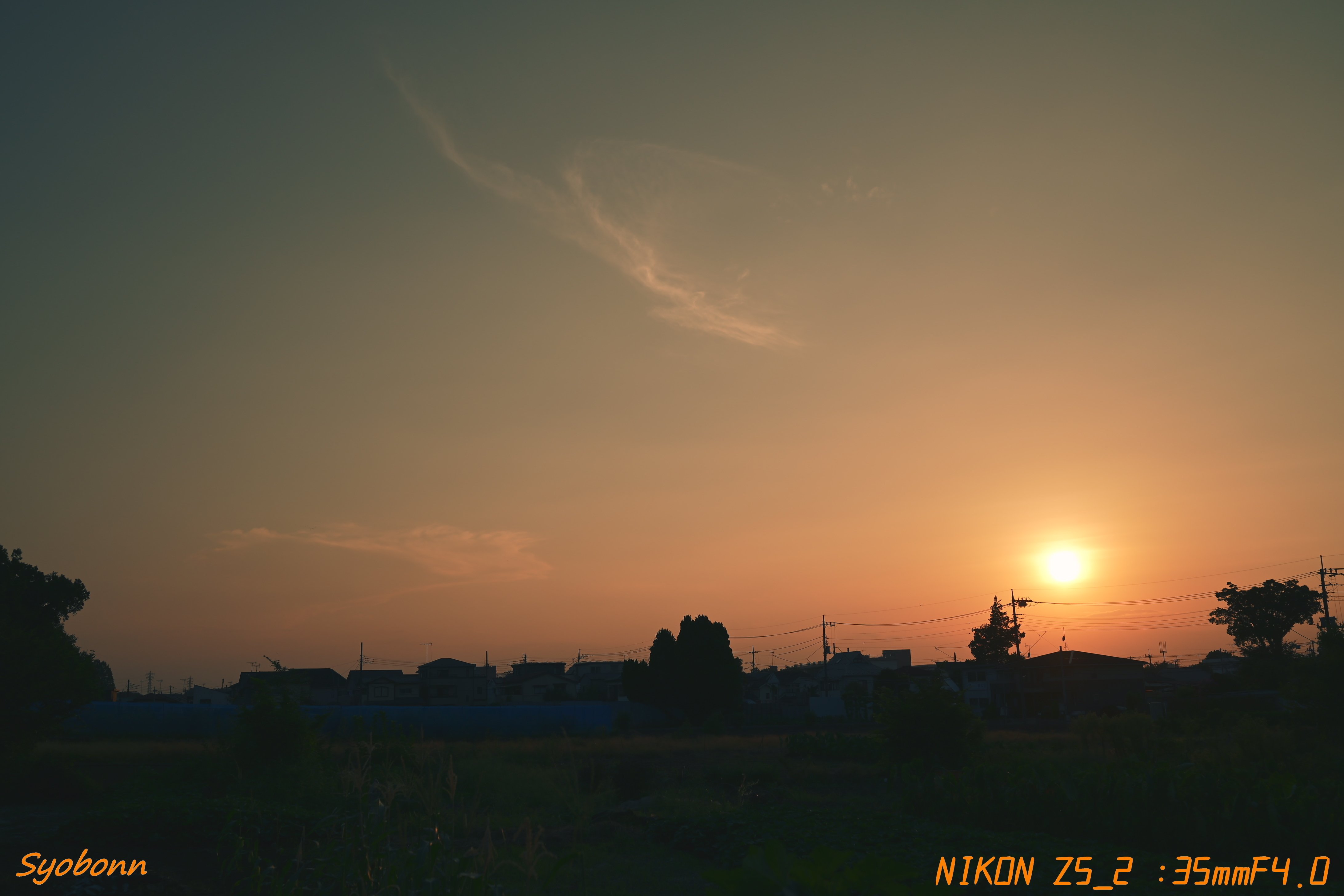 Z35mmF1.8で夕陽 #172_2508｜(´・ω・｀)