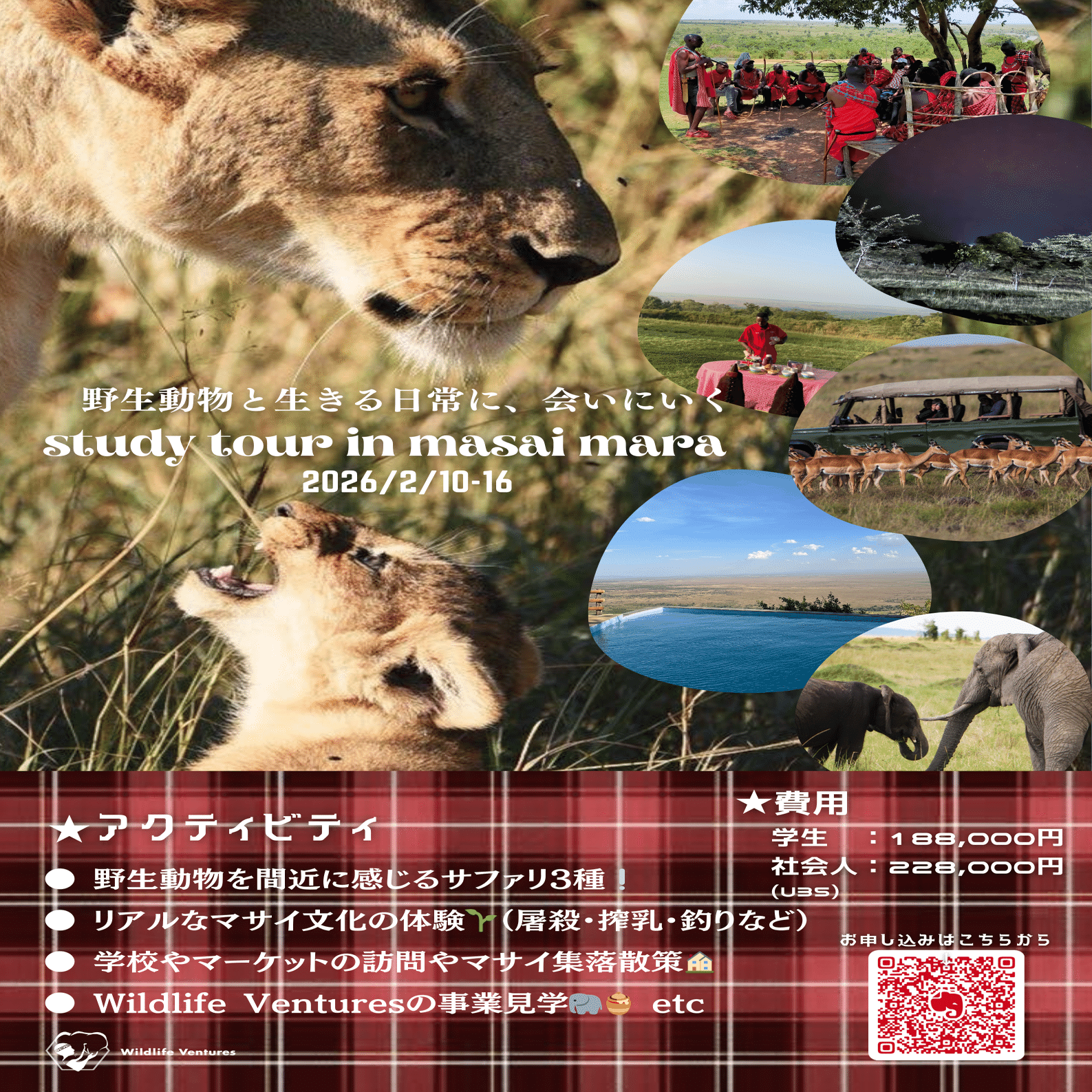 Wildlife Ventures スタディツアー（2026年2月）開催決定｜参加者募集