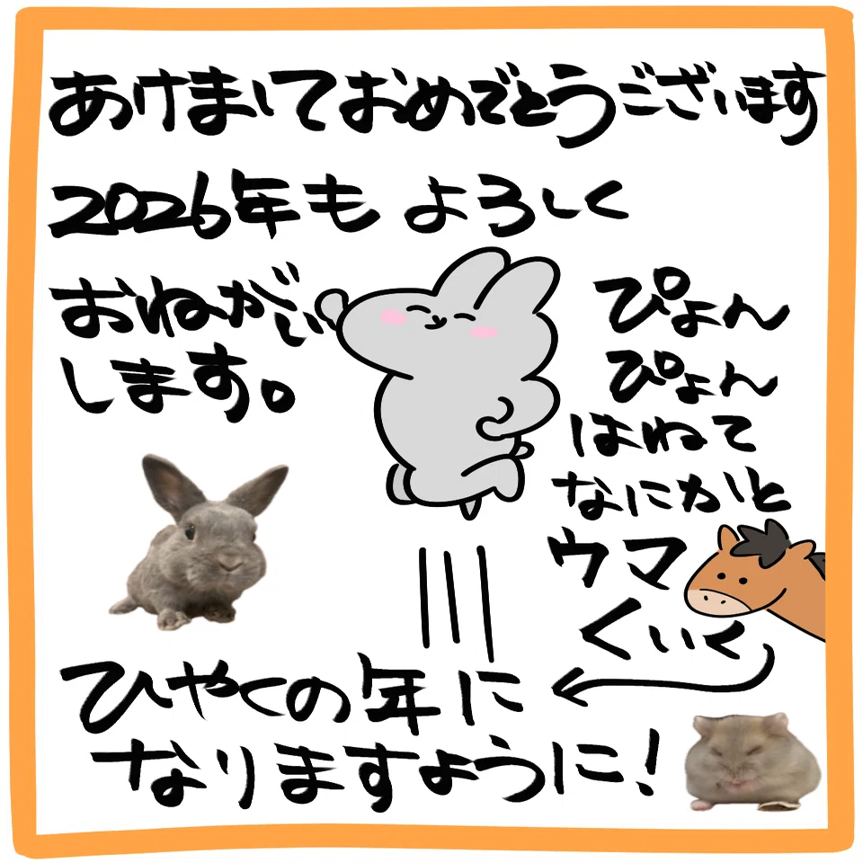 宜しく新年☆2025年→2026年 新年のごあいさつ🎍2026年もよろしくおねがいします！🐴｜ゆとり