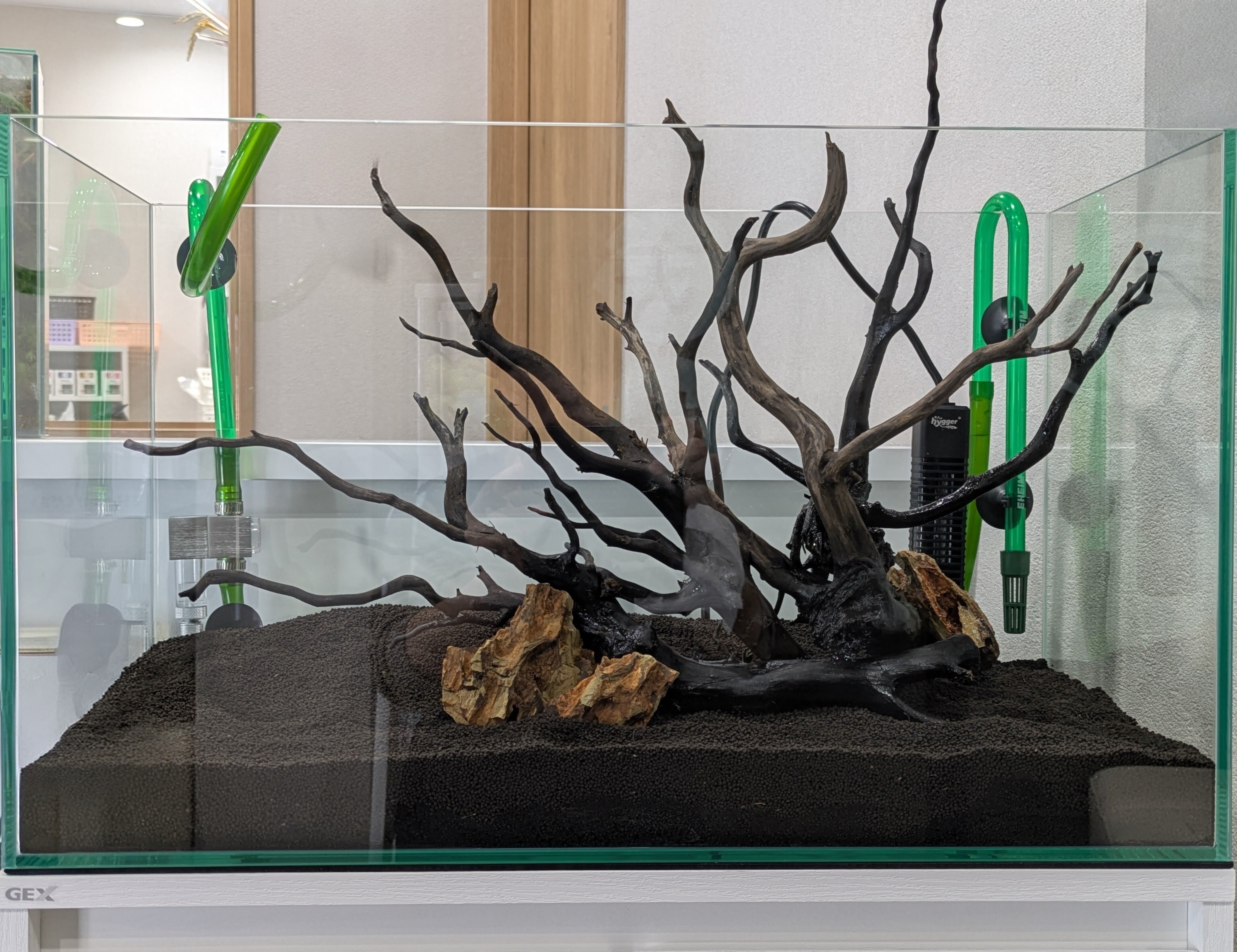 ✴️久々の水槽の立ち上げ｜エビ好きな薬屋の戯言🦐