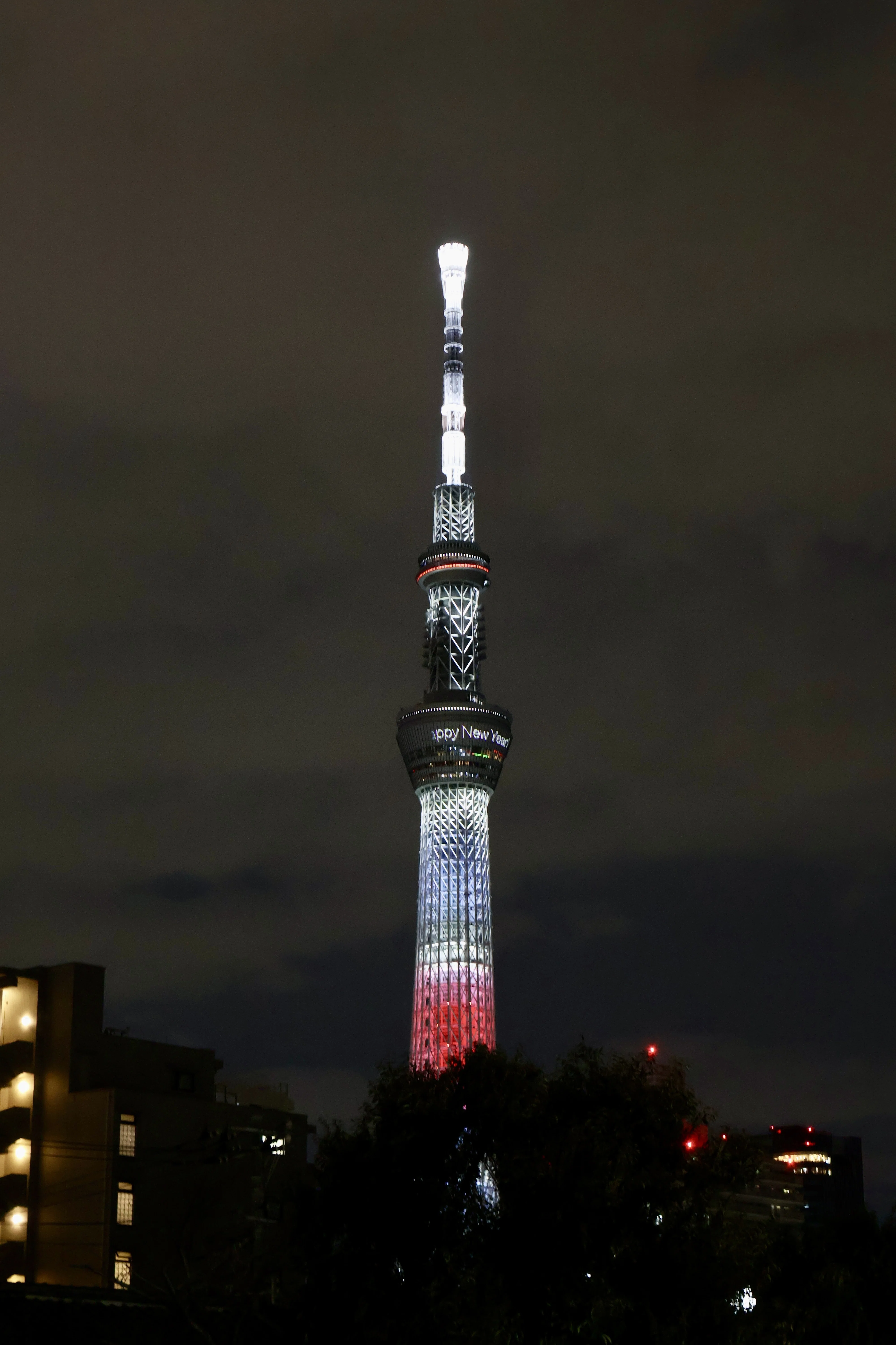 元日 東京十社巡り｜だいず