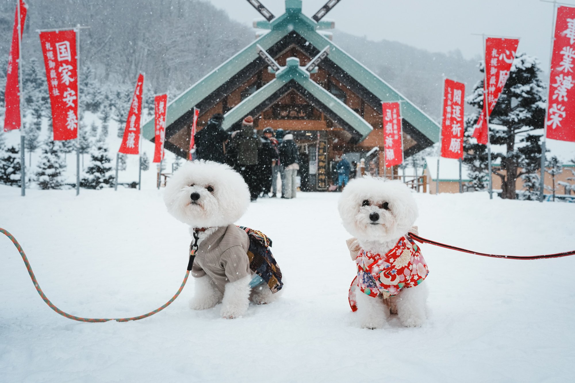 あけましておめでとうございます。今年の主役はもちろん…？｜オオサワラボ