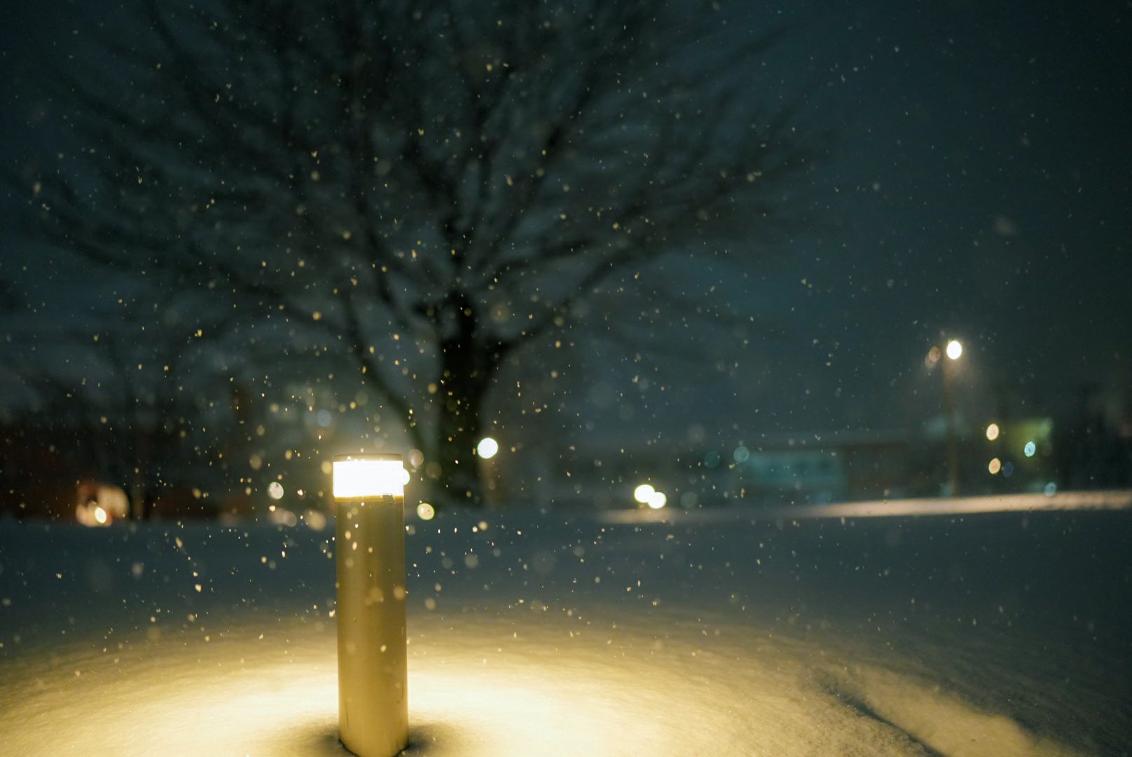 雪降る街に息づく音 20260103｜Masato Funamizu