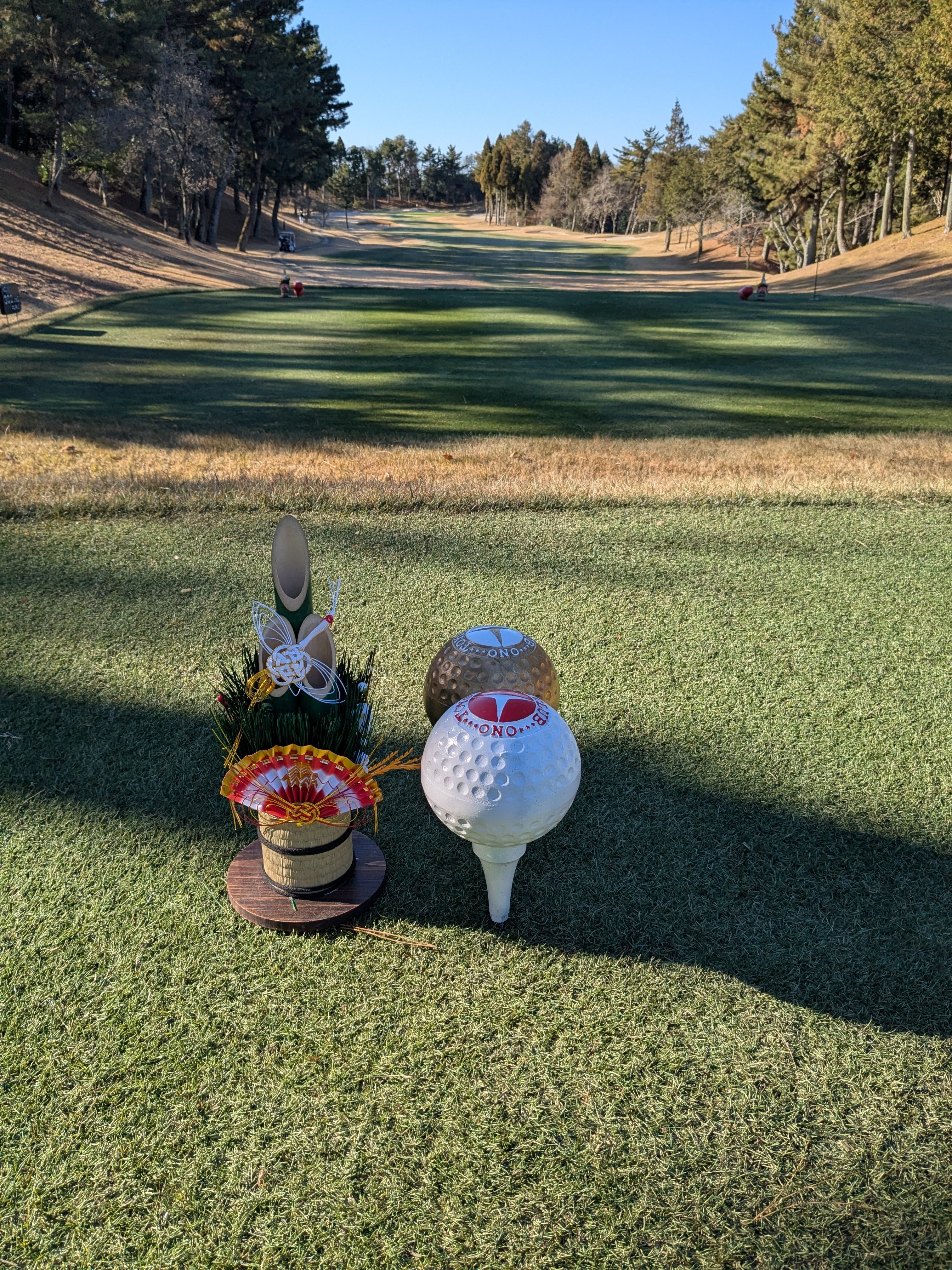 もしも、カラスが白ければ｜TAMA SALON
