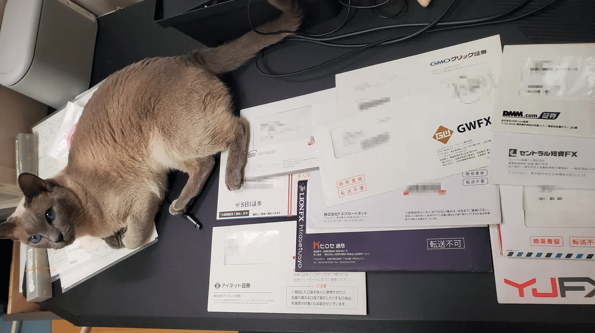 自己紹介｜しらたま＠FX