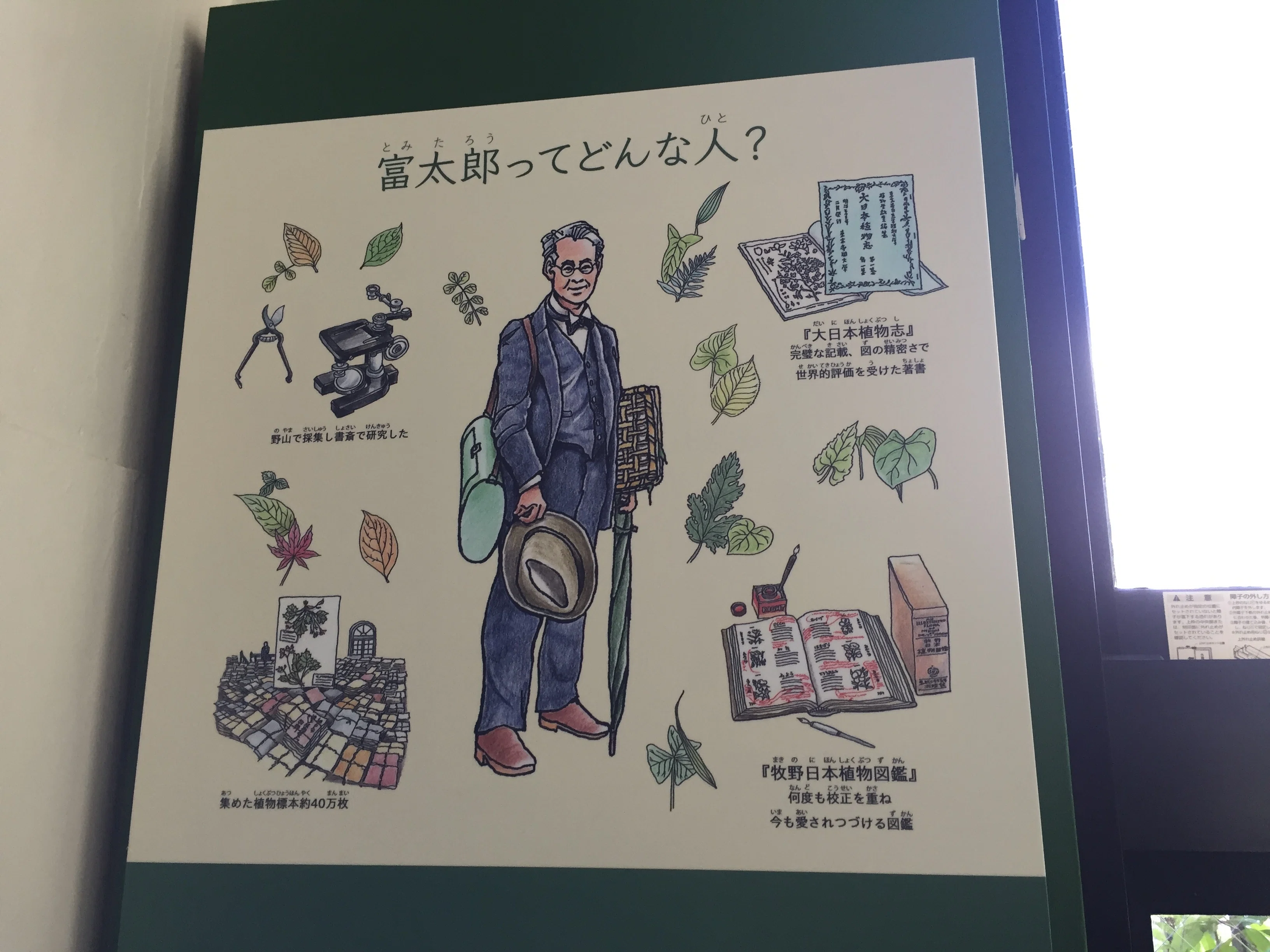 すごい博物館143】練馬区立・牧野記念庭園：書斎に積みあがった植物