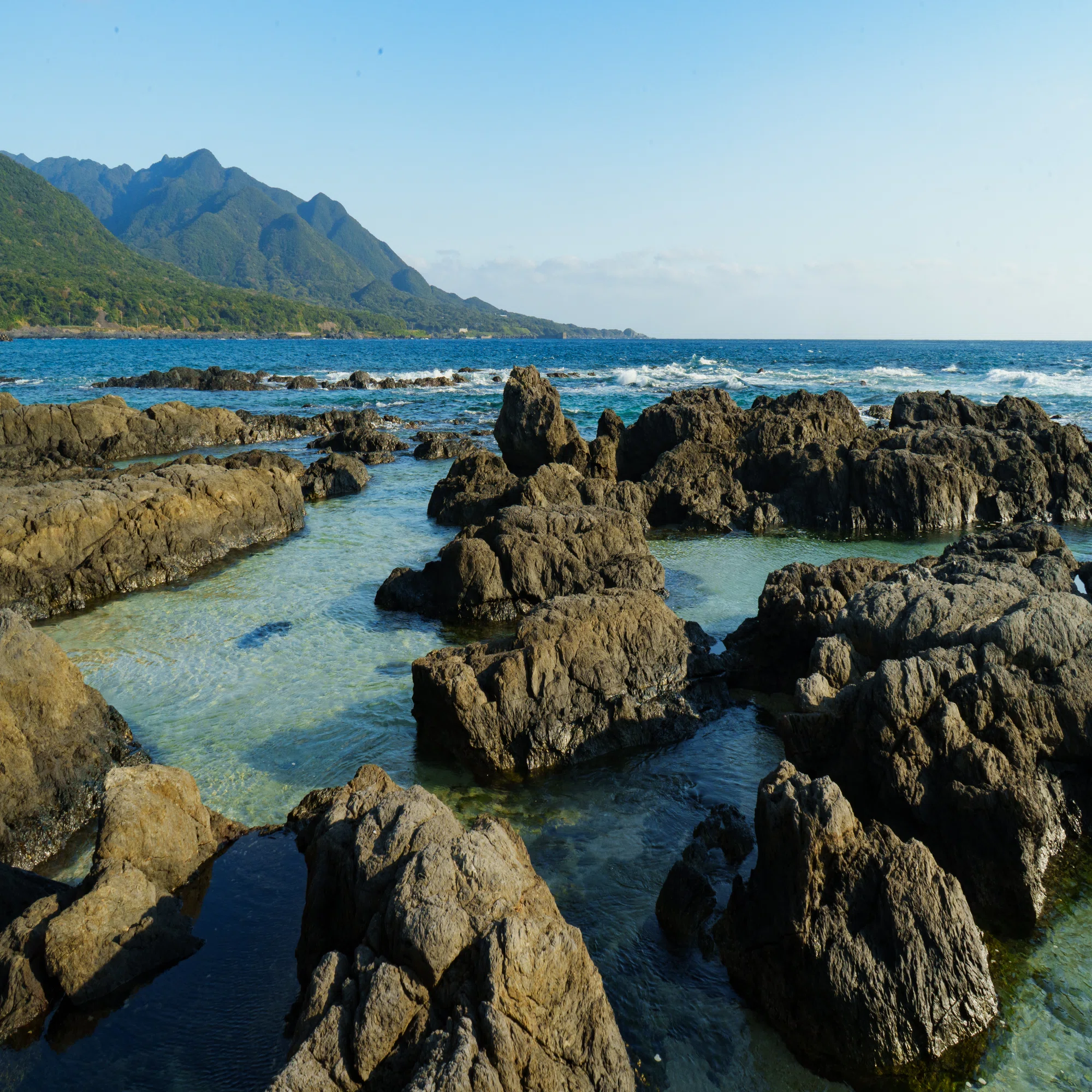屋久島 の 波 の 高 さ