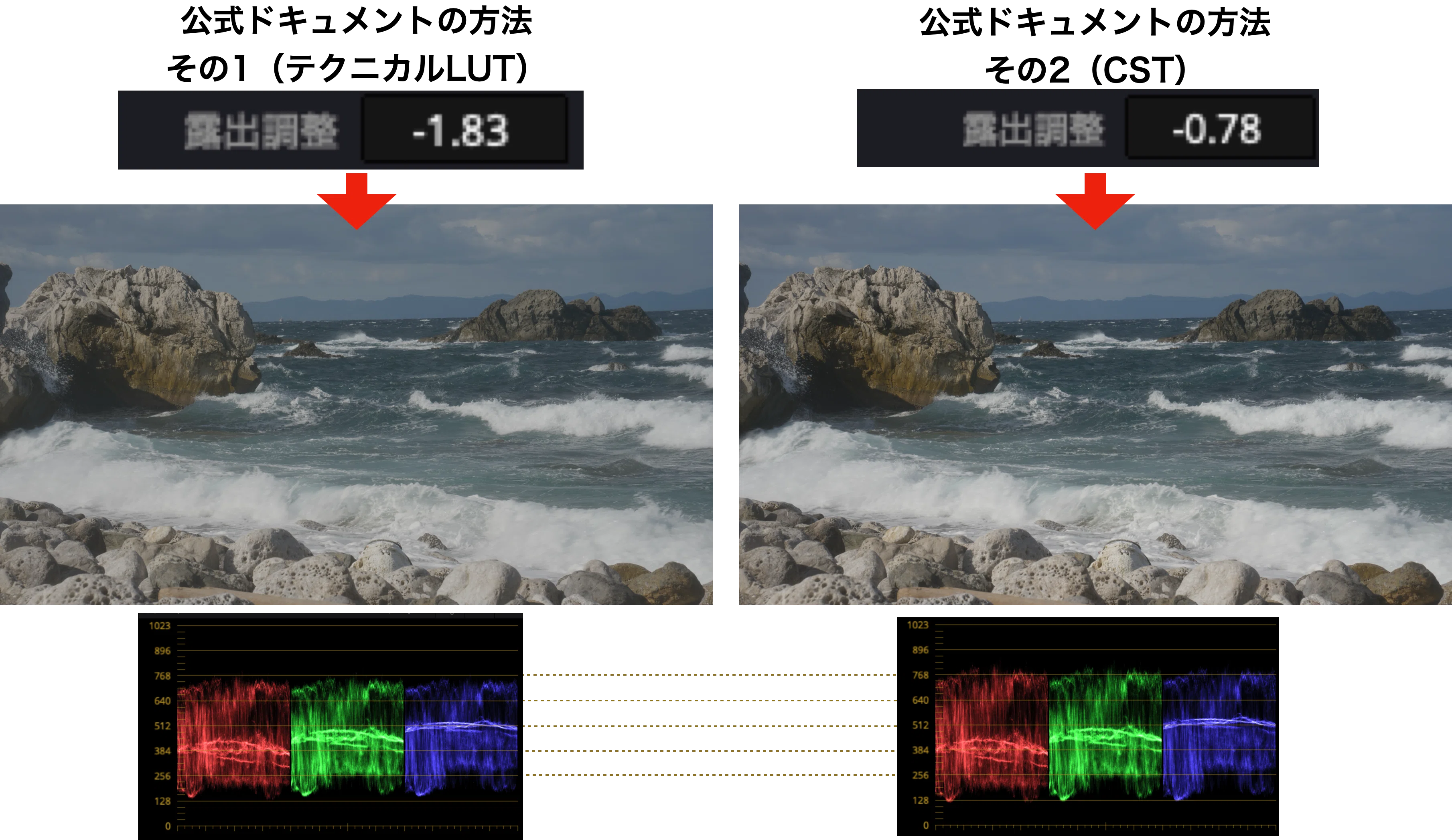 11 NIKON ZRのR3D NEの公式のDaVinci Resolve設定｜ミズノソウ |【Z