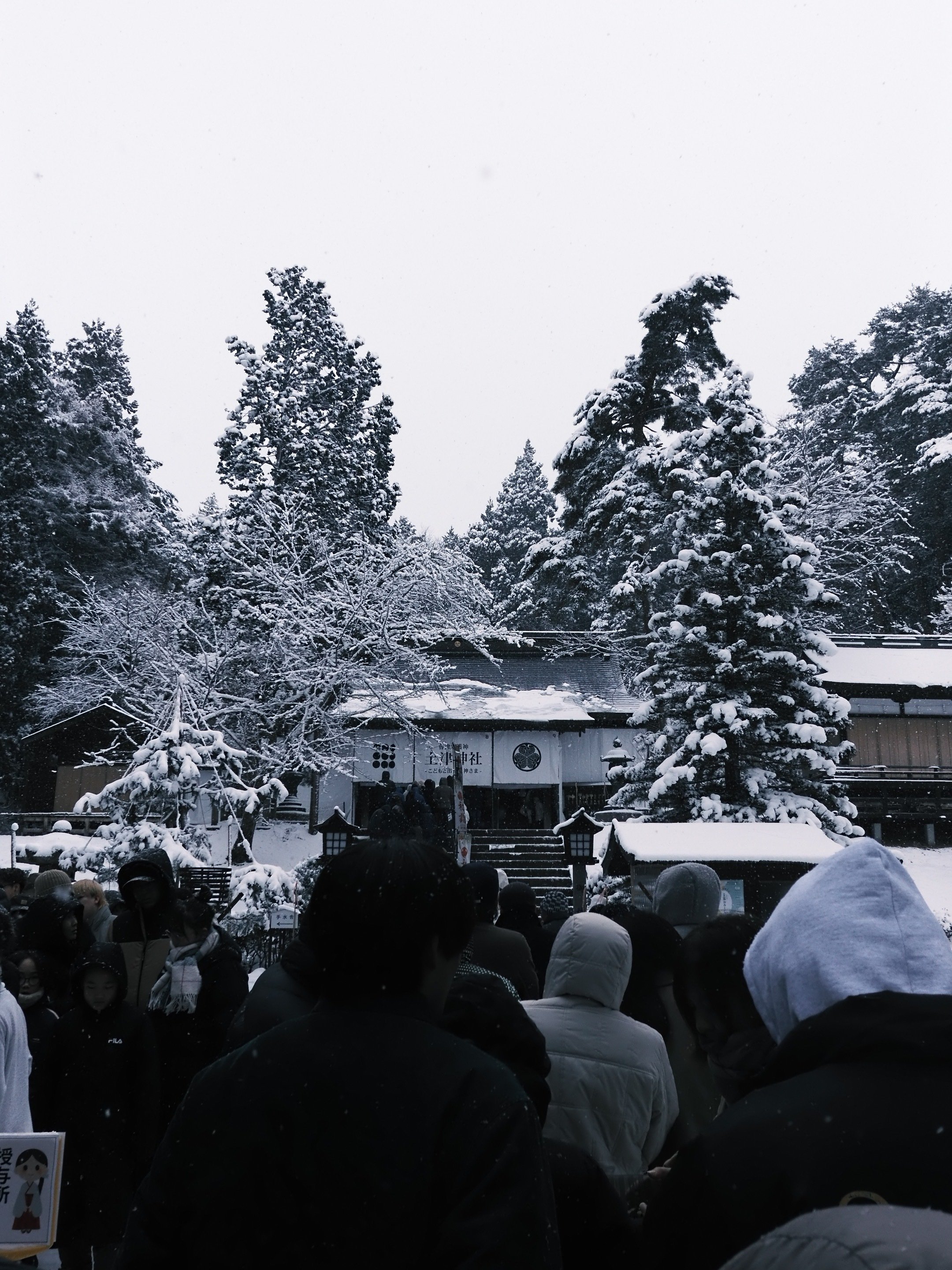 写真日記【2026年1月】｜明悠