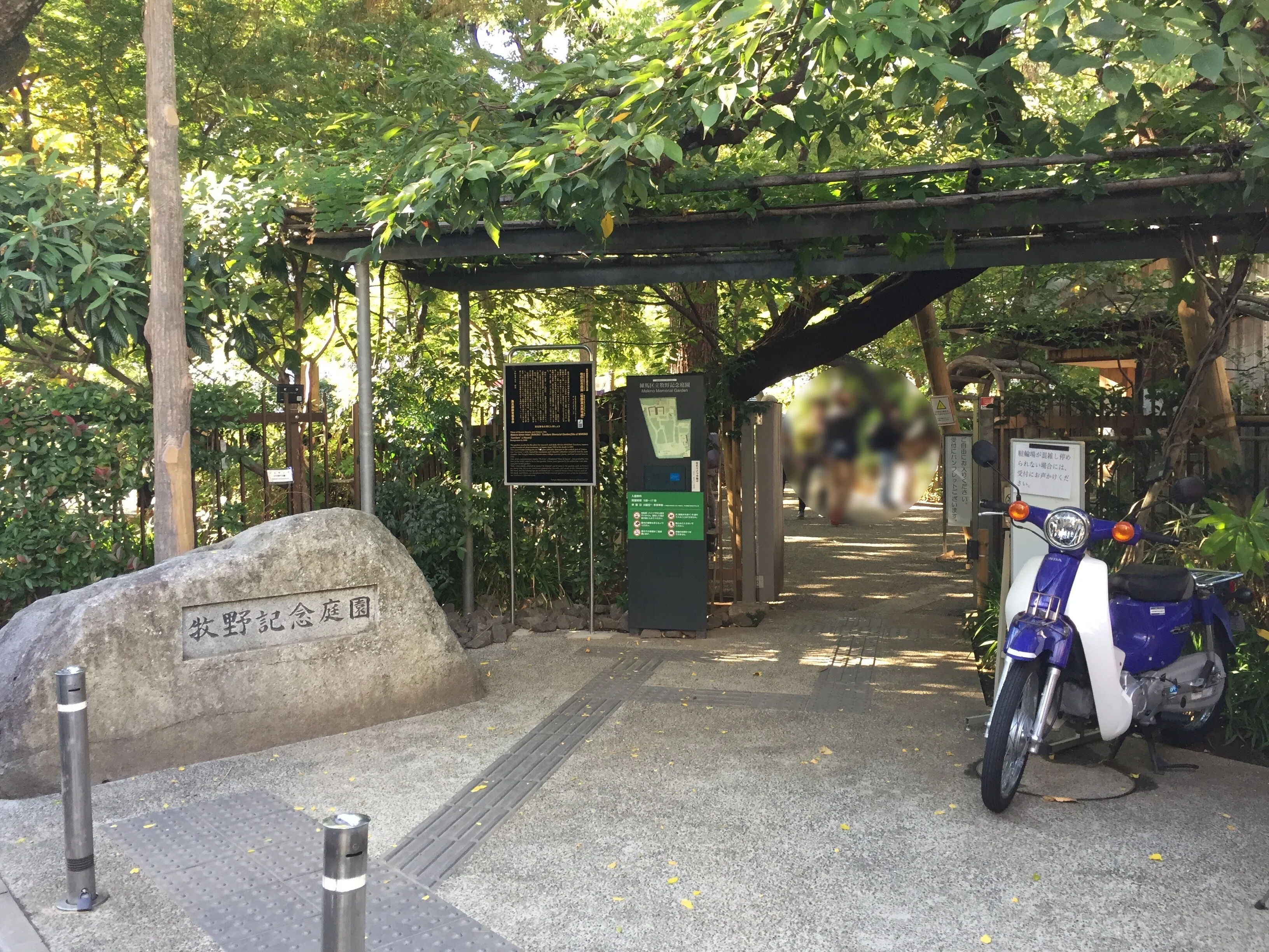 すごい博物館143】練馬区立・牧野記念庭園：書斎に積みあがった植物