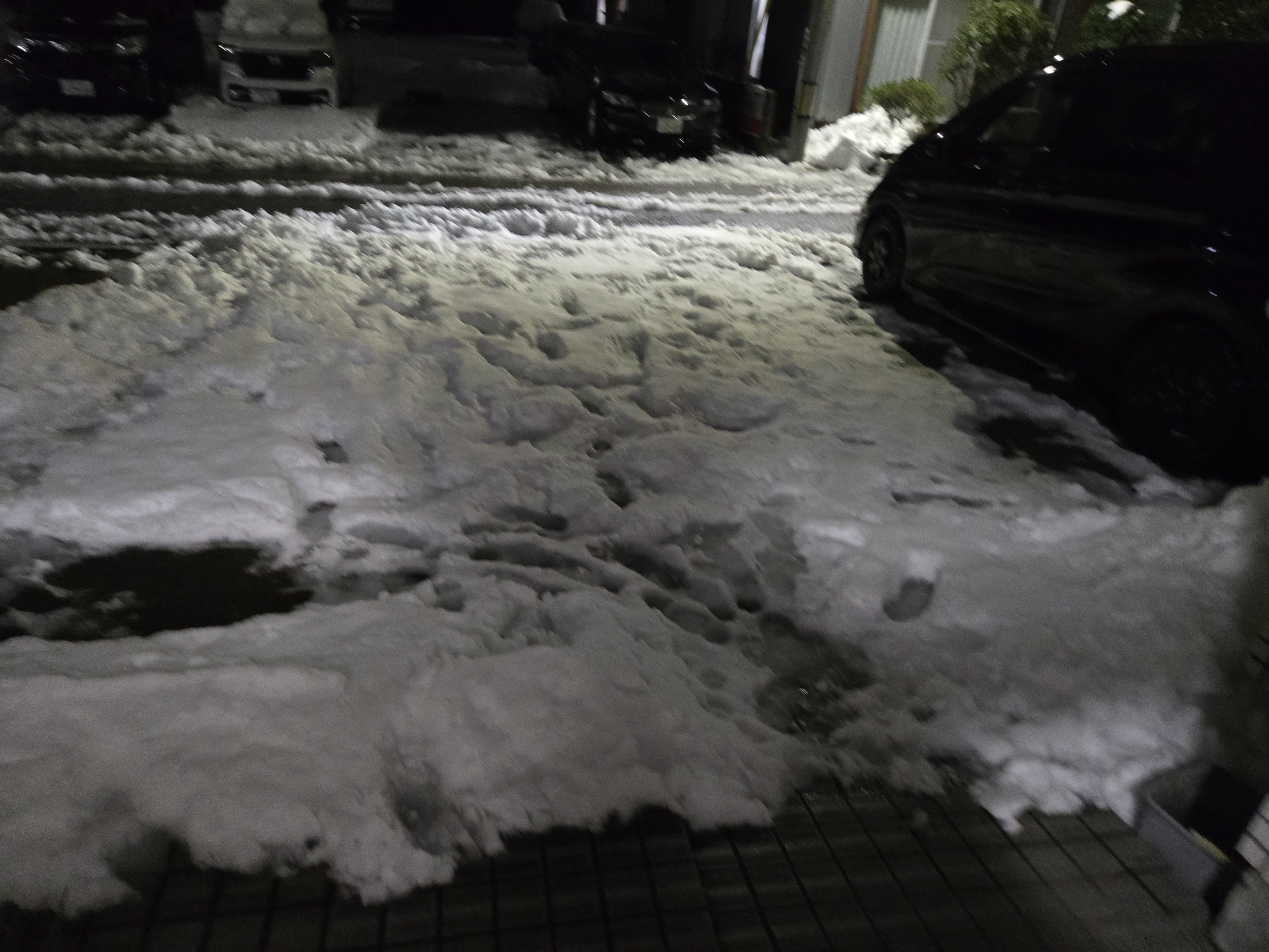 雪雪雪～♪｜ようちゃん(たなよう)