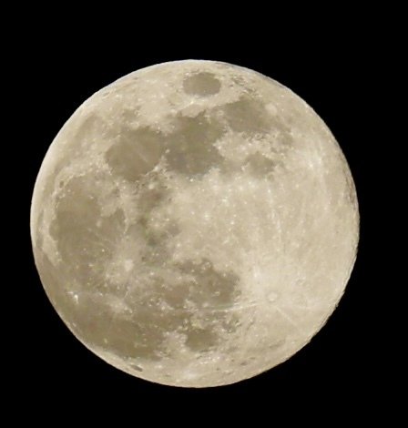 カメラ】ウルフムーン撮ってみた｜とよまん/豊泉宏幸＠編集者、記者