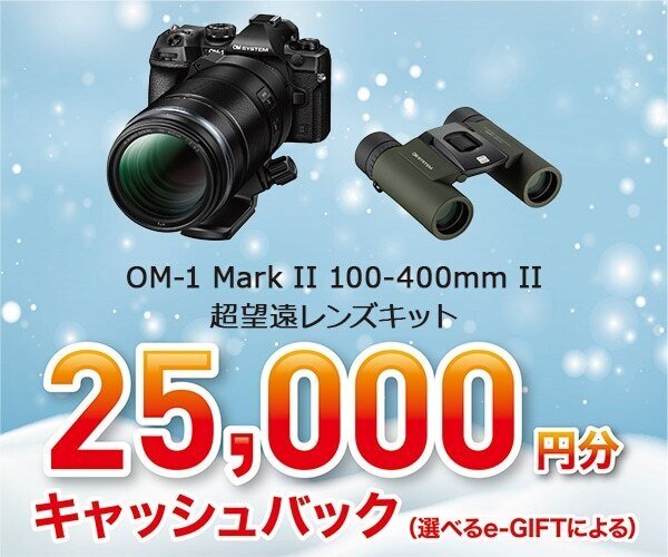 OM-1 Mark II + 100-400mm II』で初心者が野鳥撮影に挑む！【実写