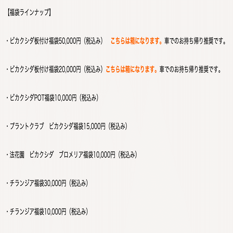 2026/1/3 オザキの初売り｜まーぼー