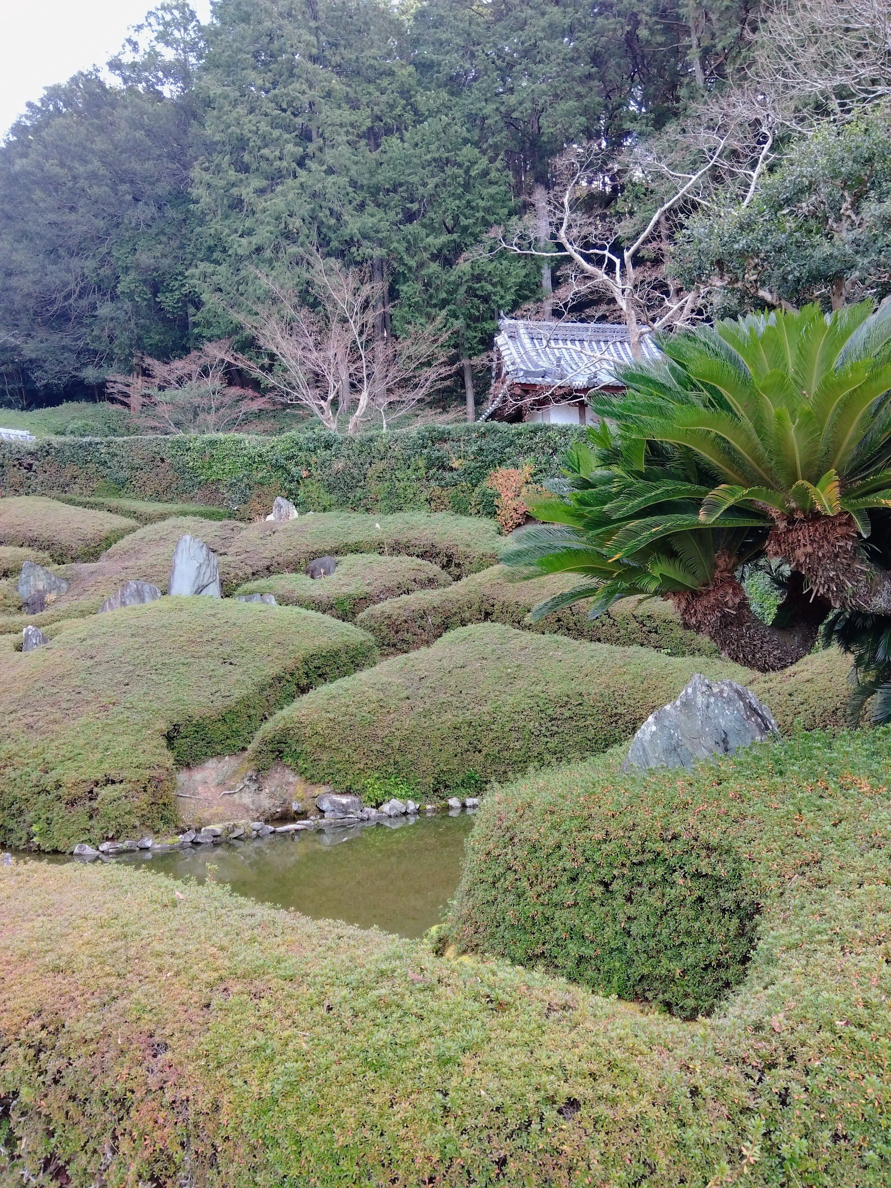 現代の造園家、重森三玲作庭の庭園、林昌寺法林の庭。｜niwa_emon