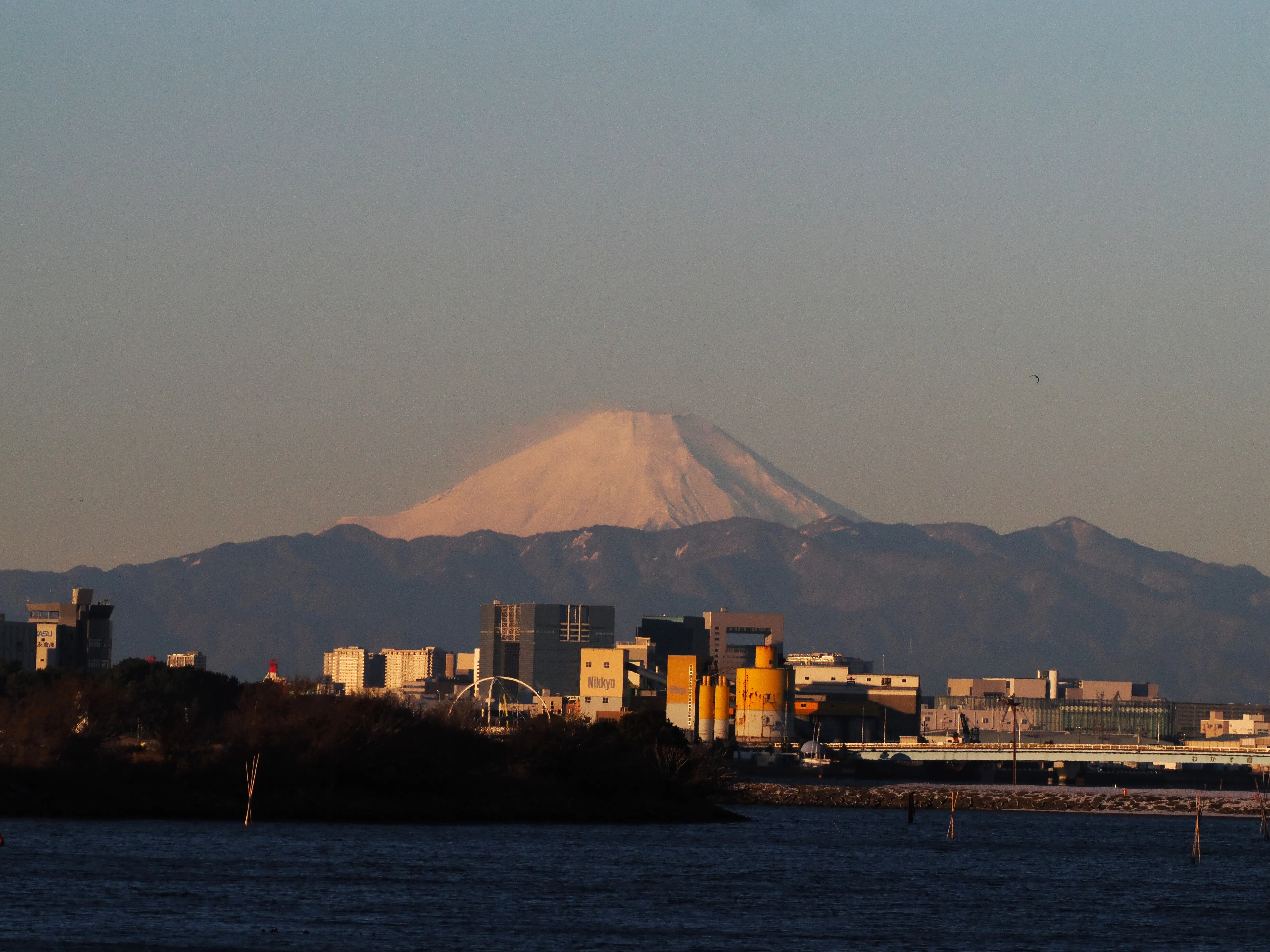 初雪翌朝の東京で雪見散歩｜もずきち
