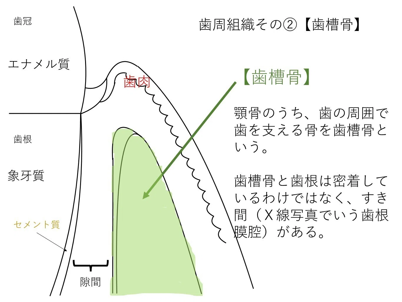 医院ブログ｜まもる歯科｜新潟県佐渡市相川にあるお勧め歯医者