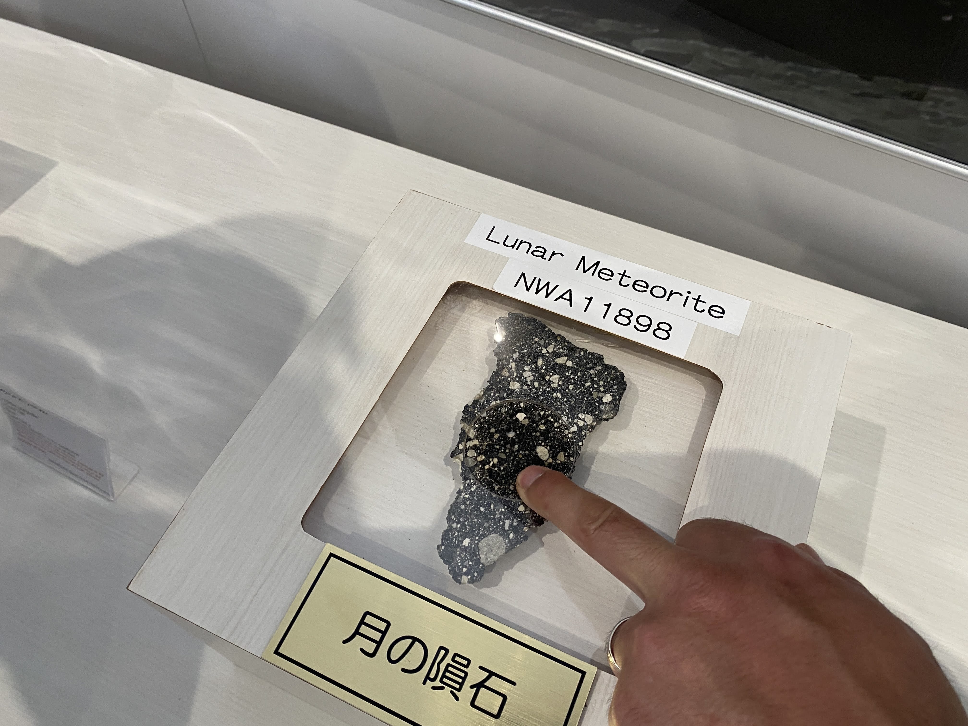 万博・ダイゴの大調査【#64】宇宙からの贈りもの──隕石と月の石が