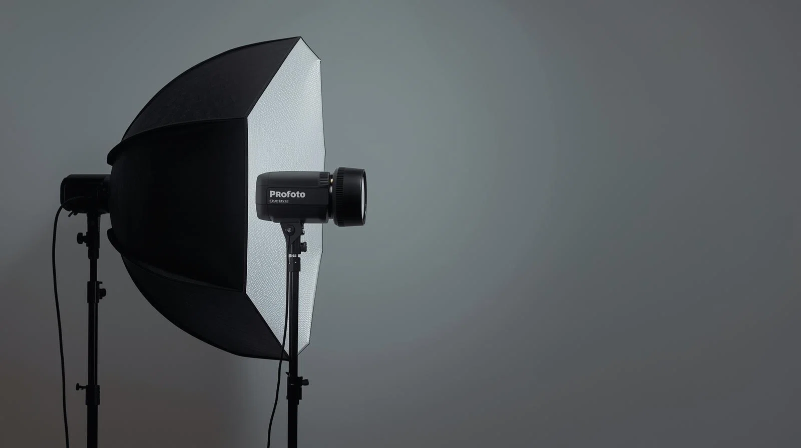 厳選】Profotoストロボおすすめ4選｜A10・A1X・B10X・B10X Plusを用途 