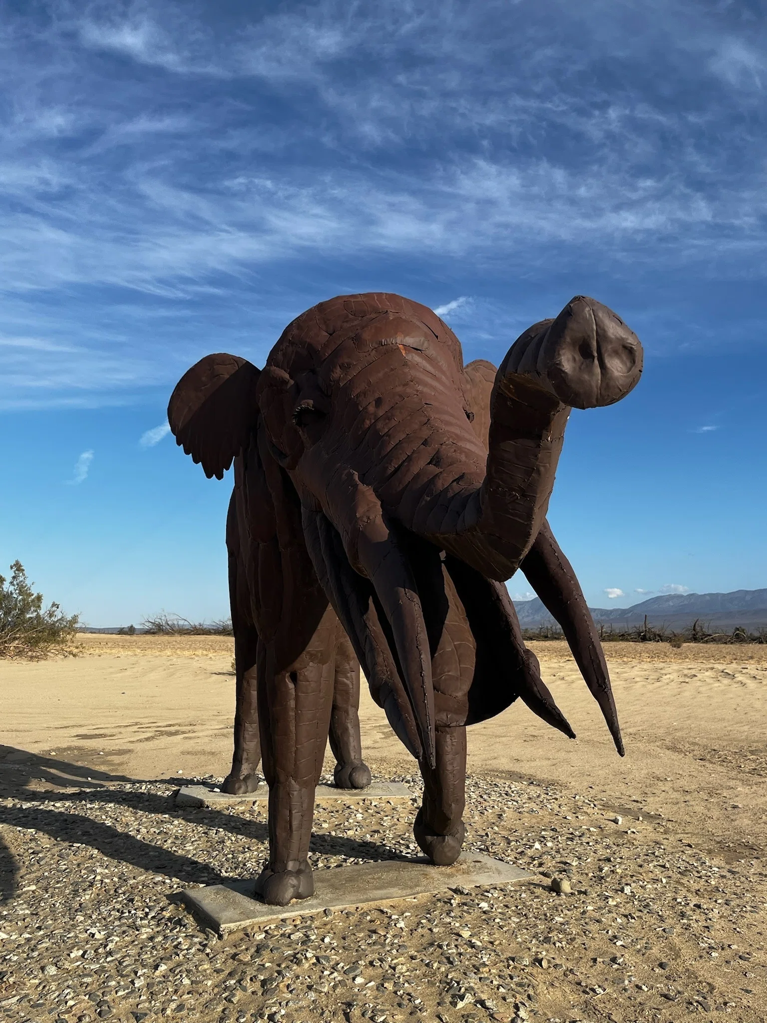 アンザボレゴ砂漠州立公園【Anza-Borrego Desert State Park】〜砂漠で